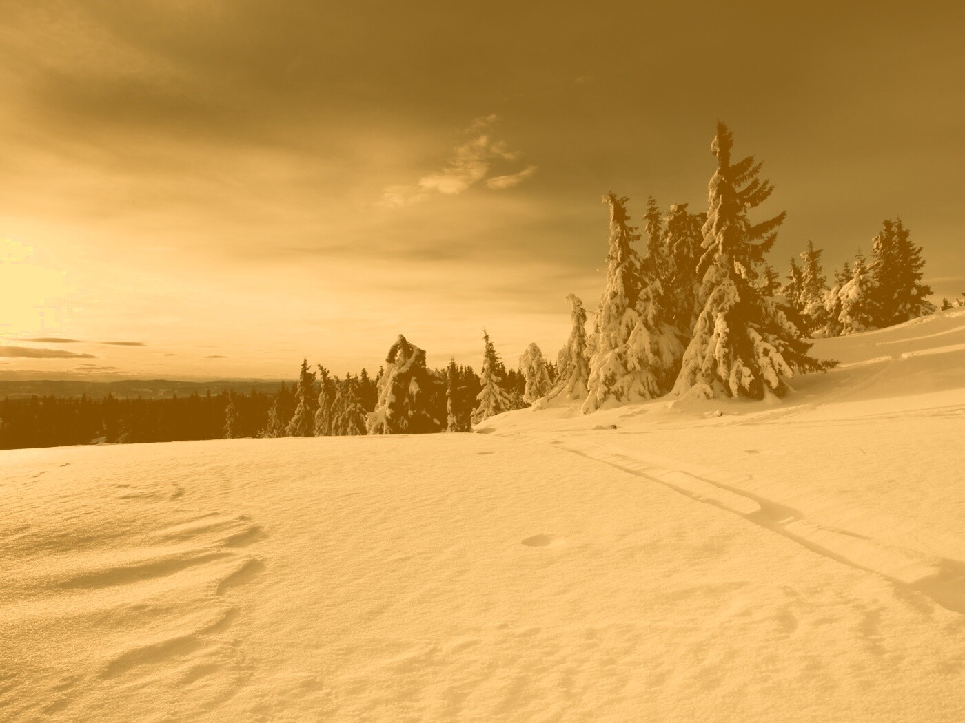 Зимние просторы обои
