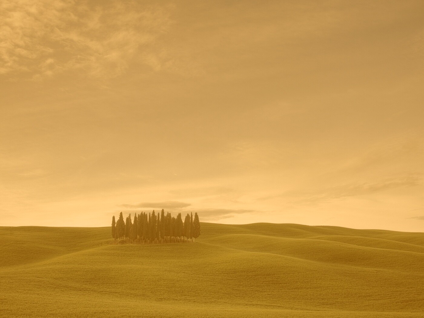 Обособленная рощица обои