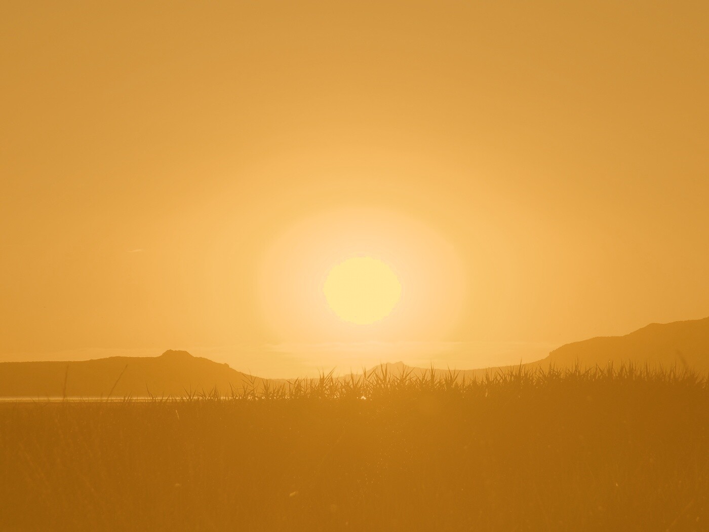 Сельский закат обои