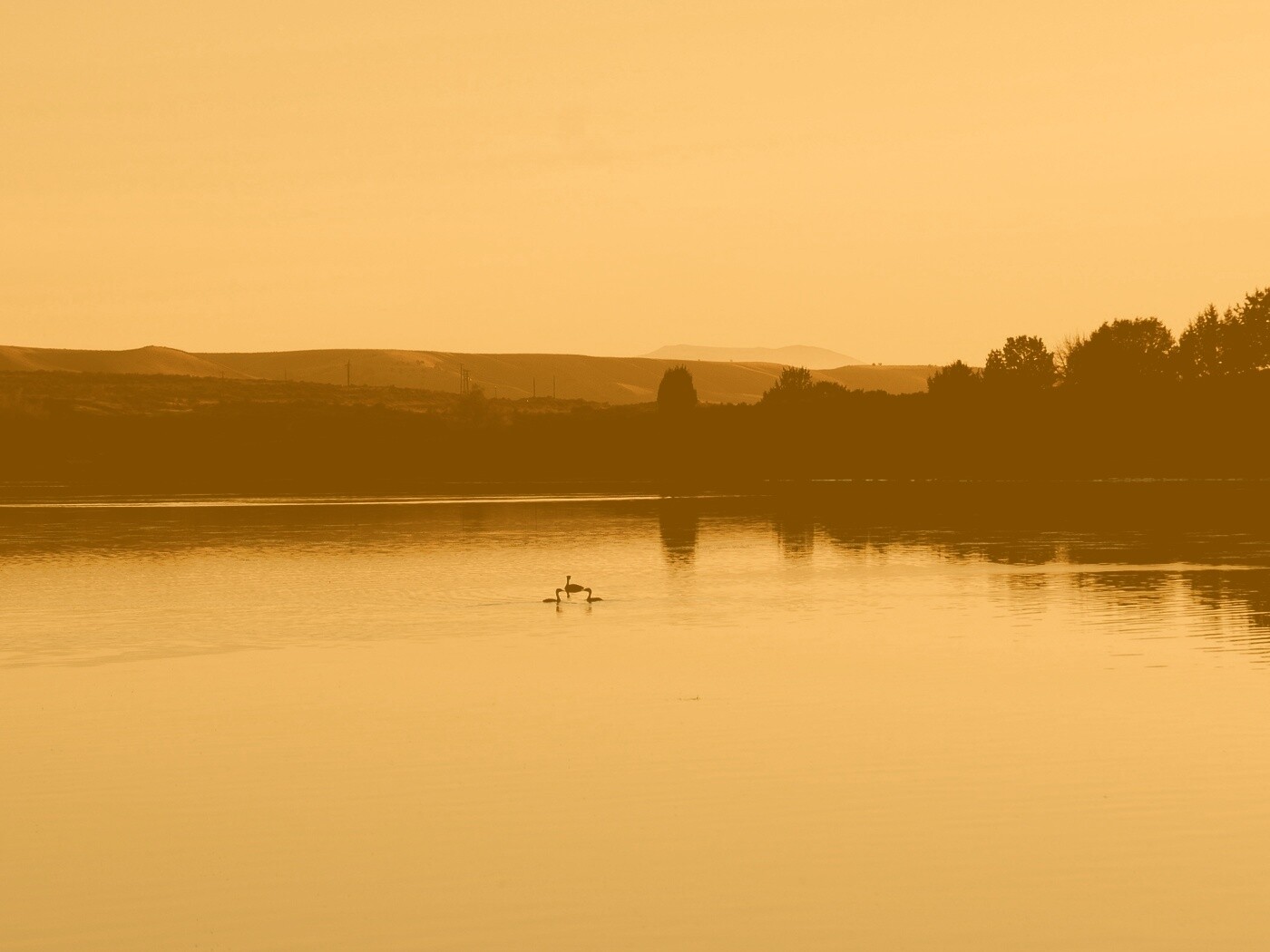 Утиное озеро обои