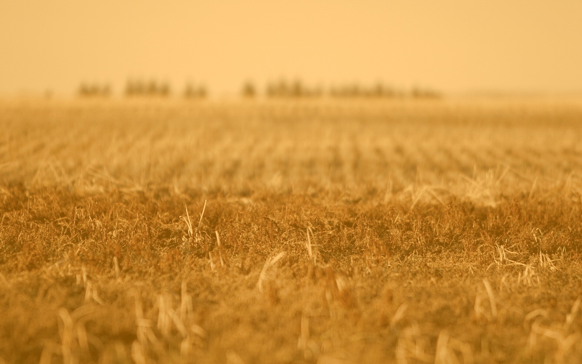 Поле перед вспашкой обои