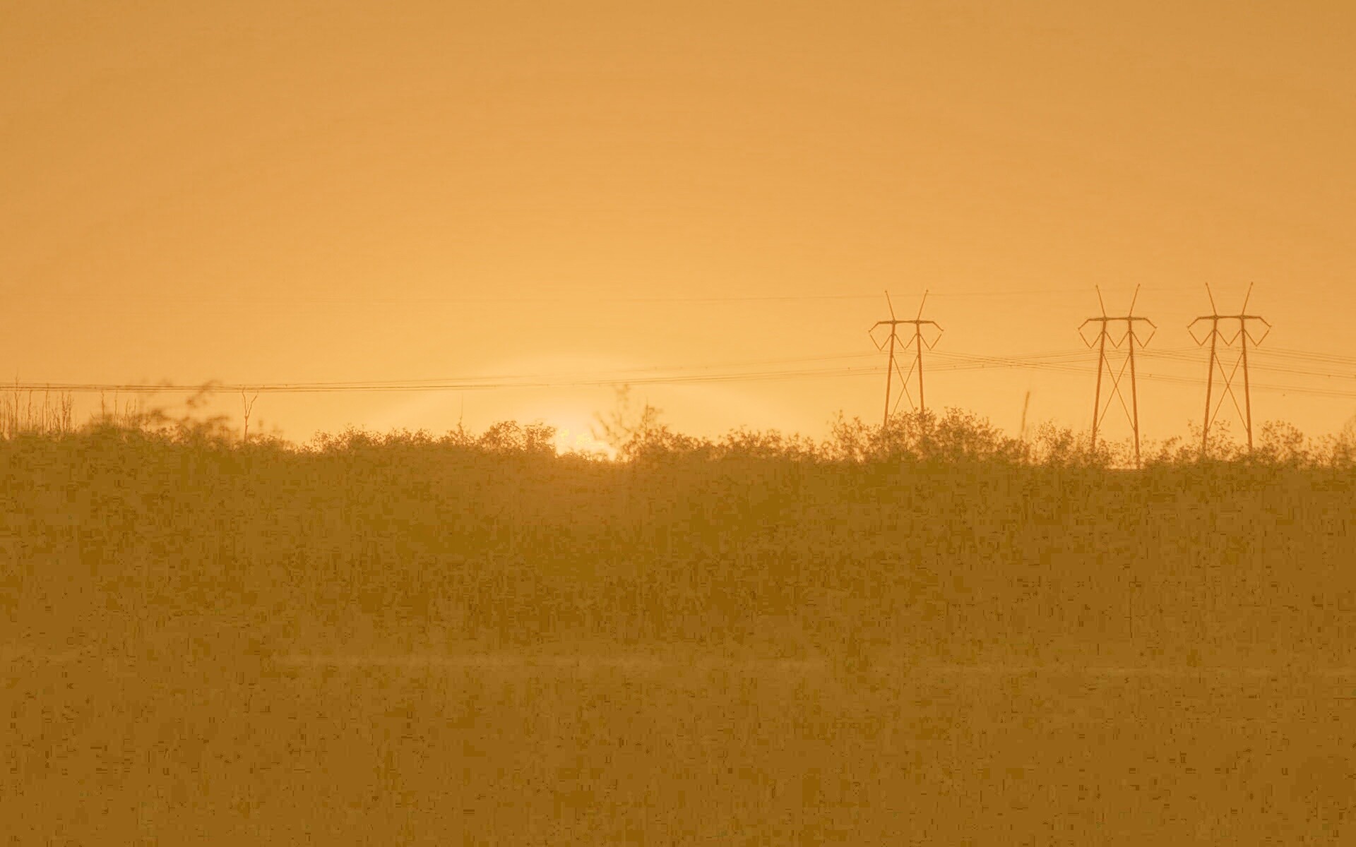 Закат за лесом обои