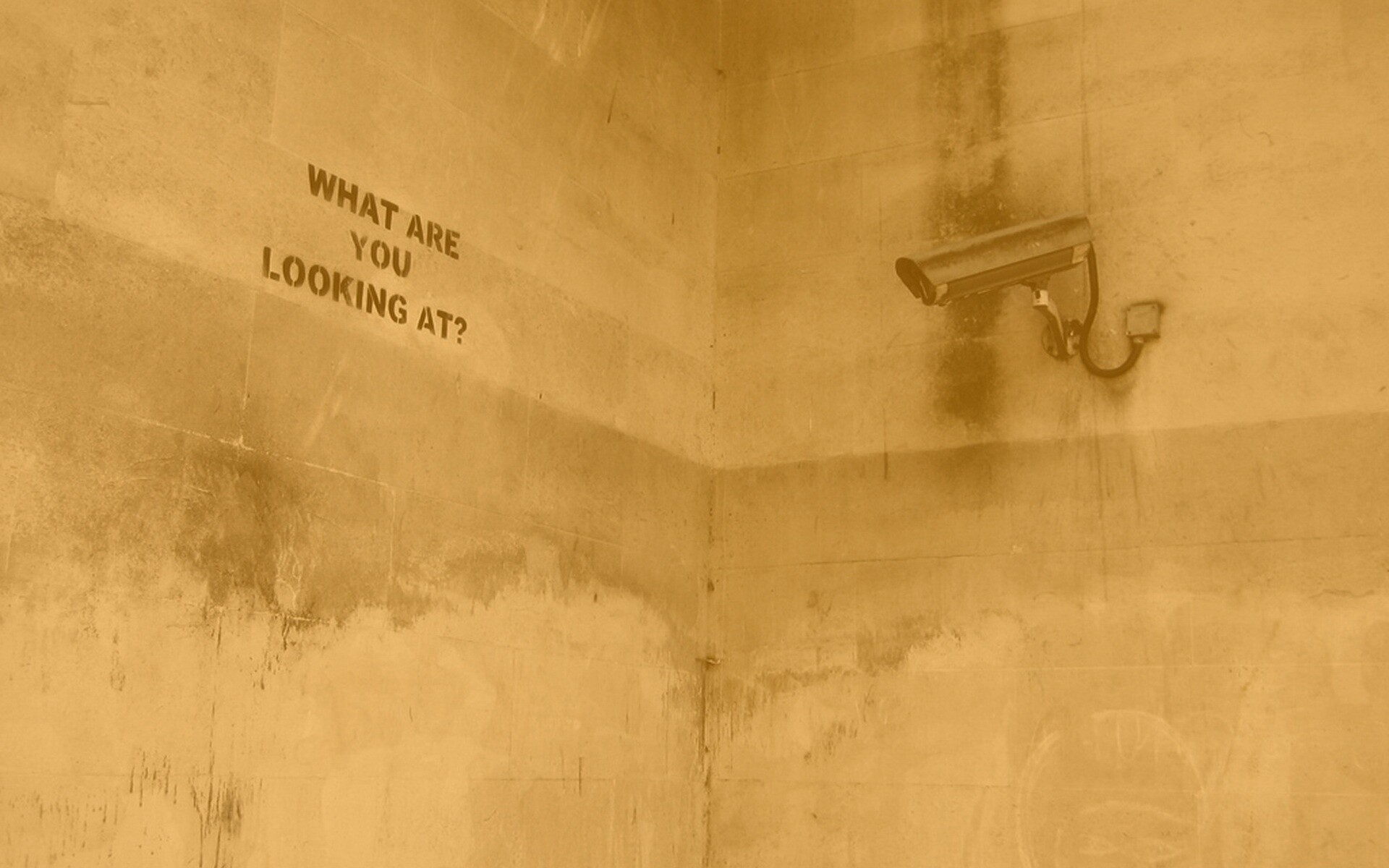 На что ты смотришь? обои