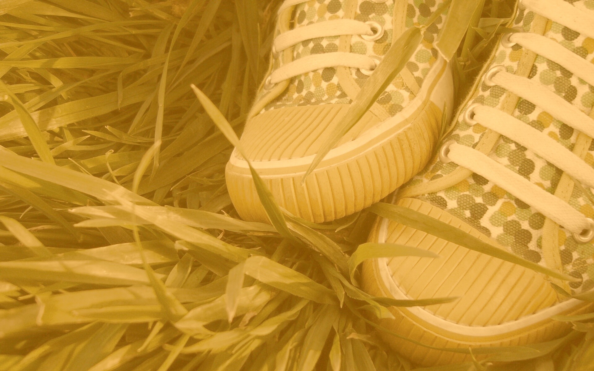 Желтые кеды в горошек обои