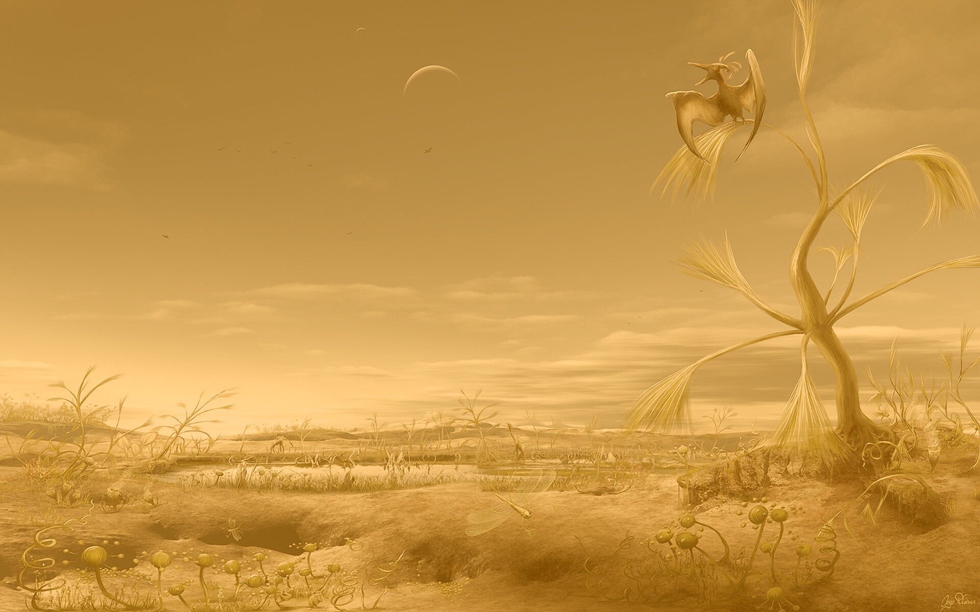 Флора и фауна другой планеты обои