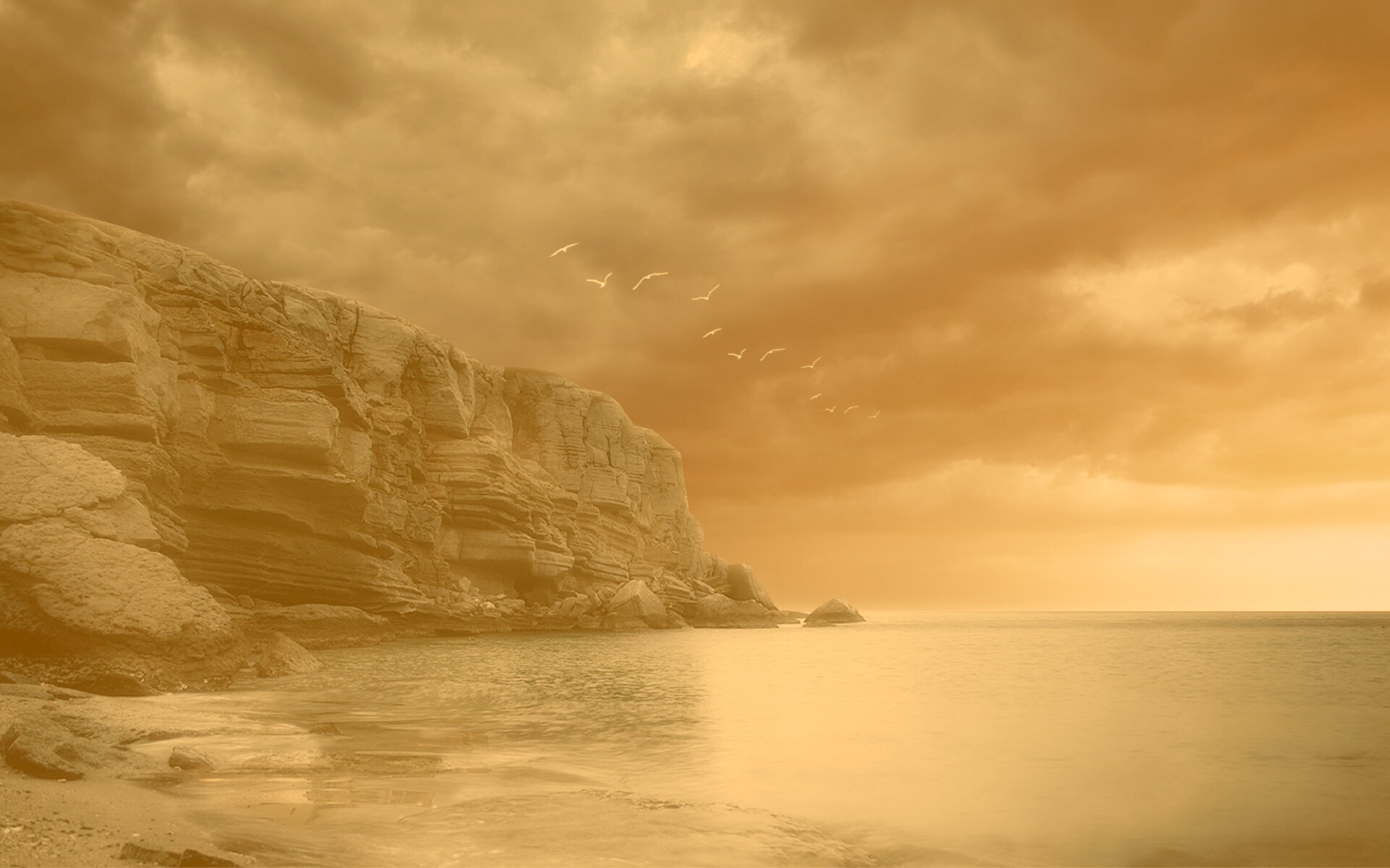 Чайки над скалами обои