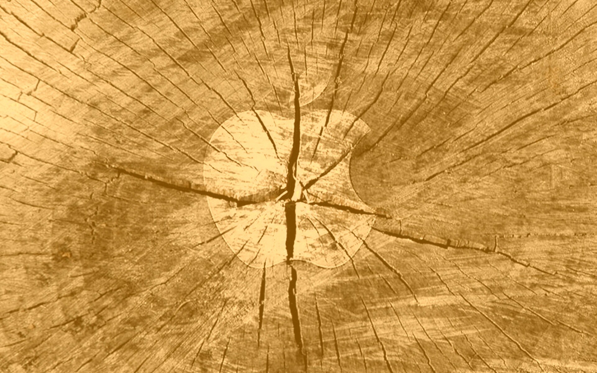 Логотип Apple на бревне обои