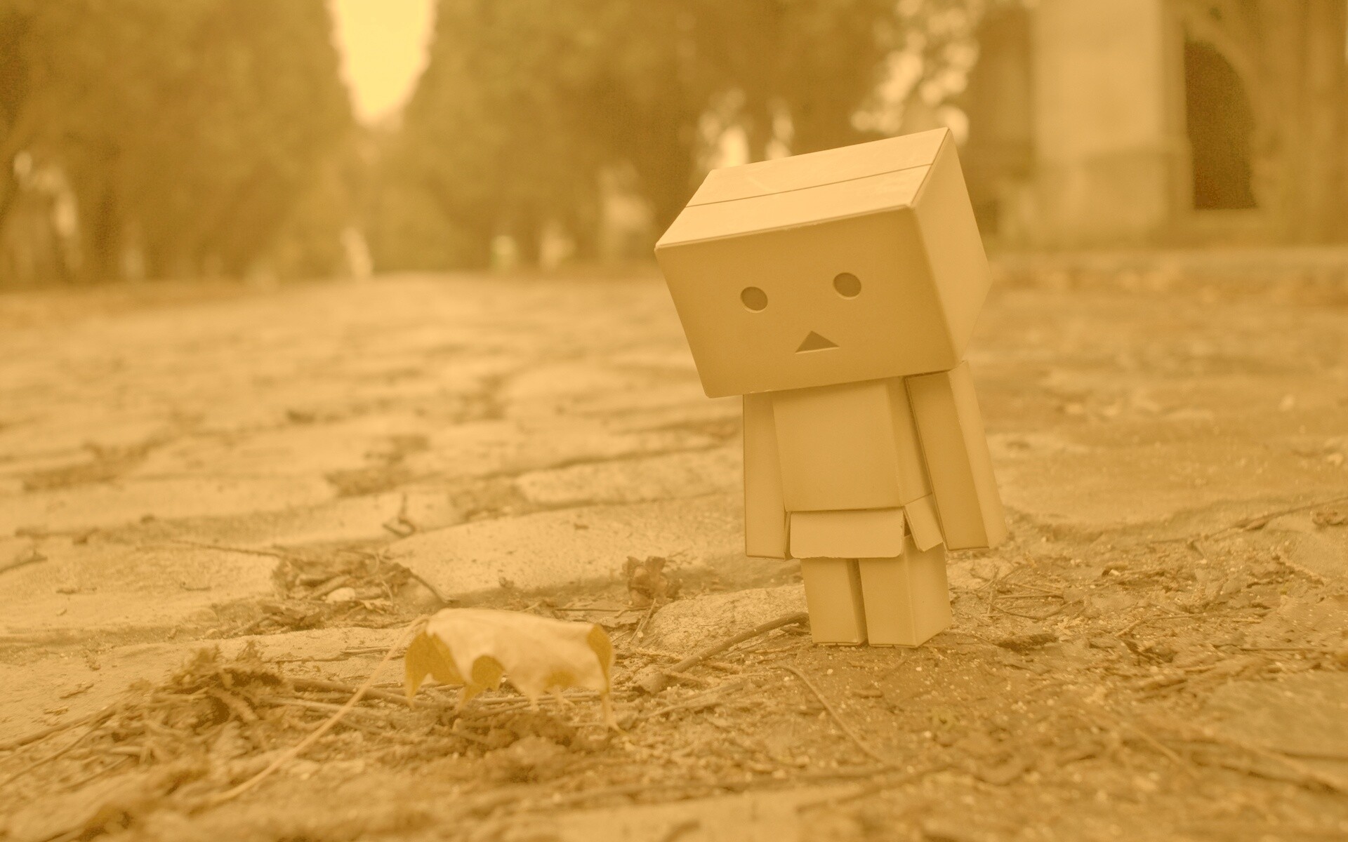 Danbo и первый осенний лист обои