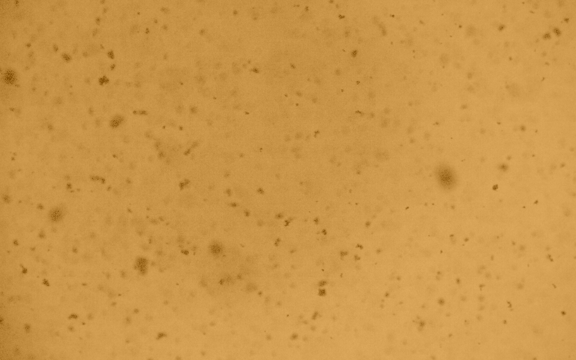 Черные пятна на сером фоне обои