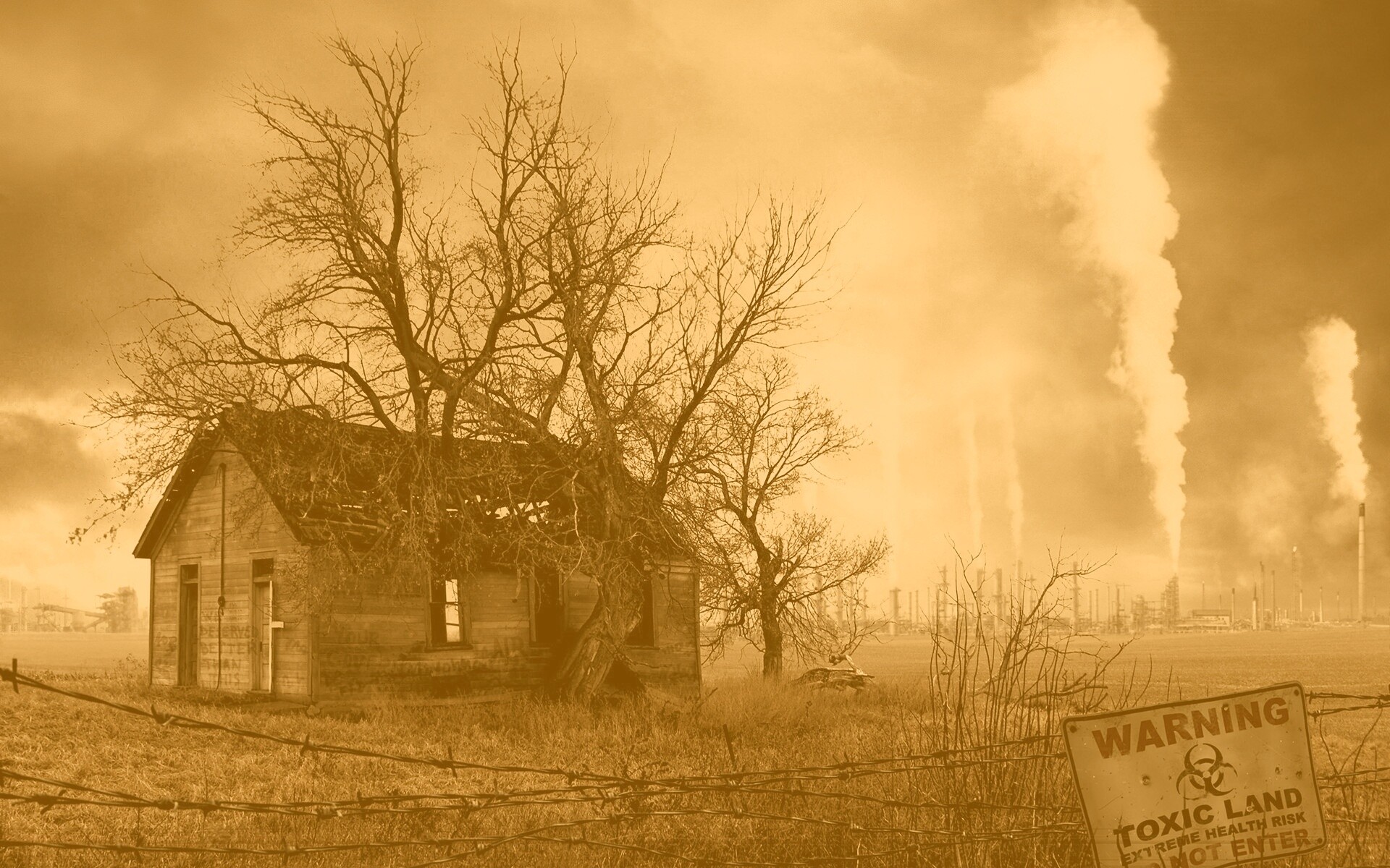 Токсичность обои