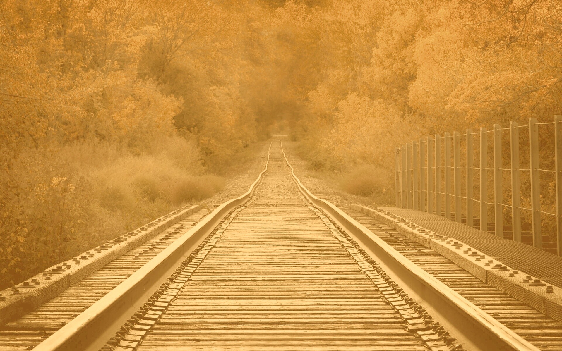 Железная дорога в осеннем лесу обои