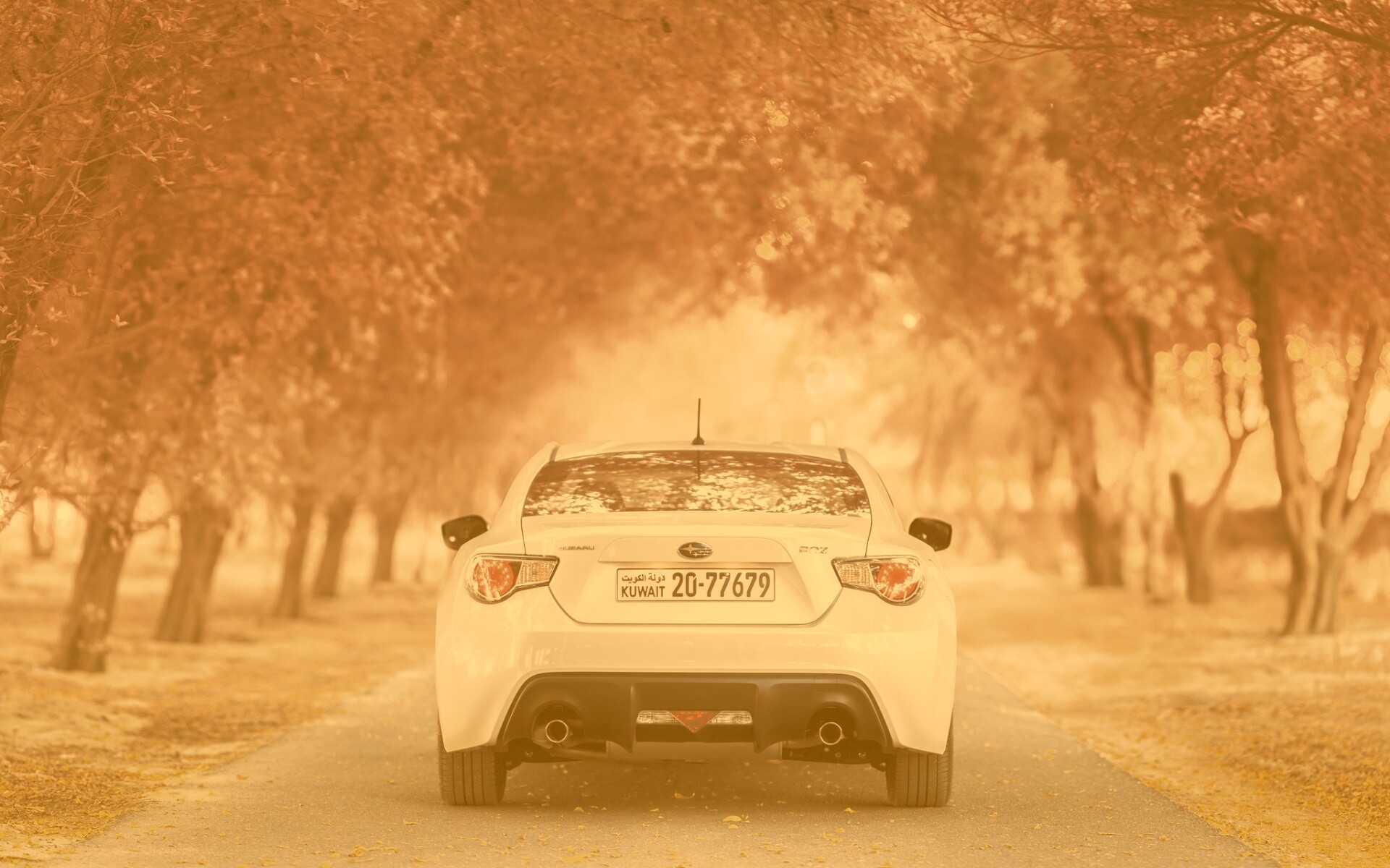 Субару на осенней дороге обои