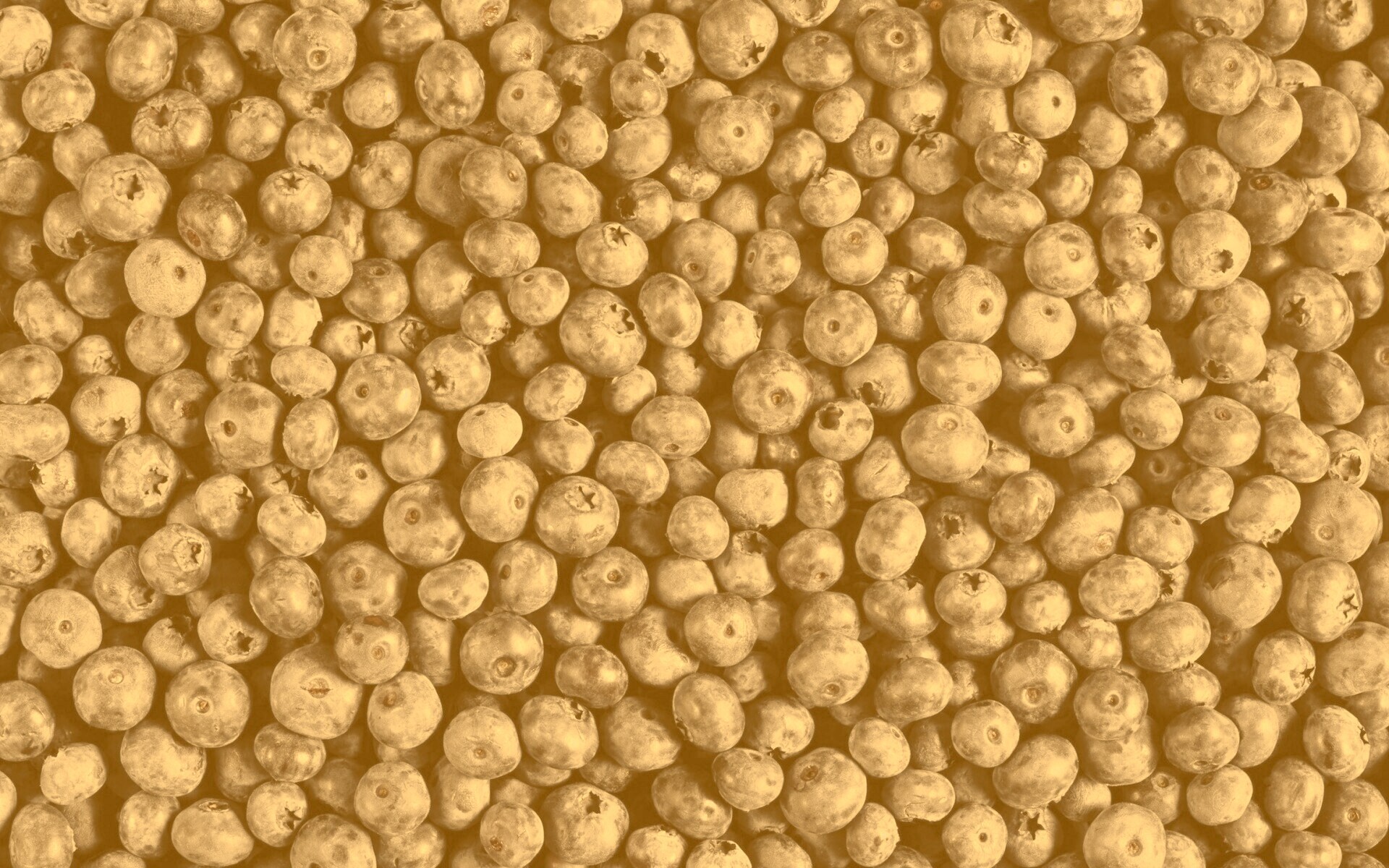 Черника обои