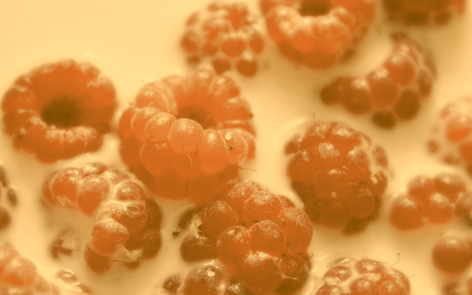 Малина в молоке обои