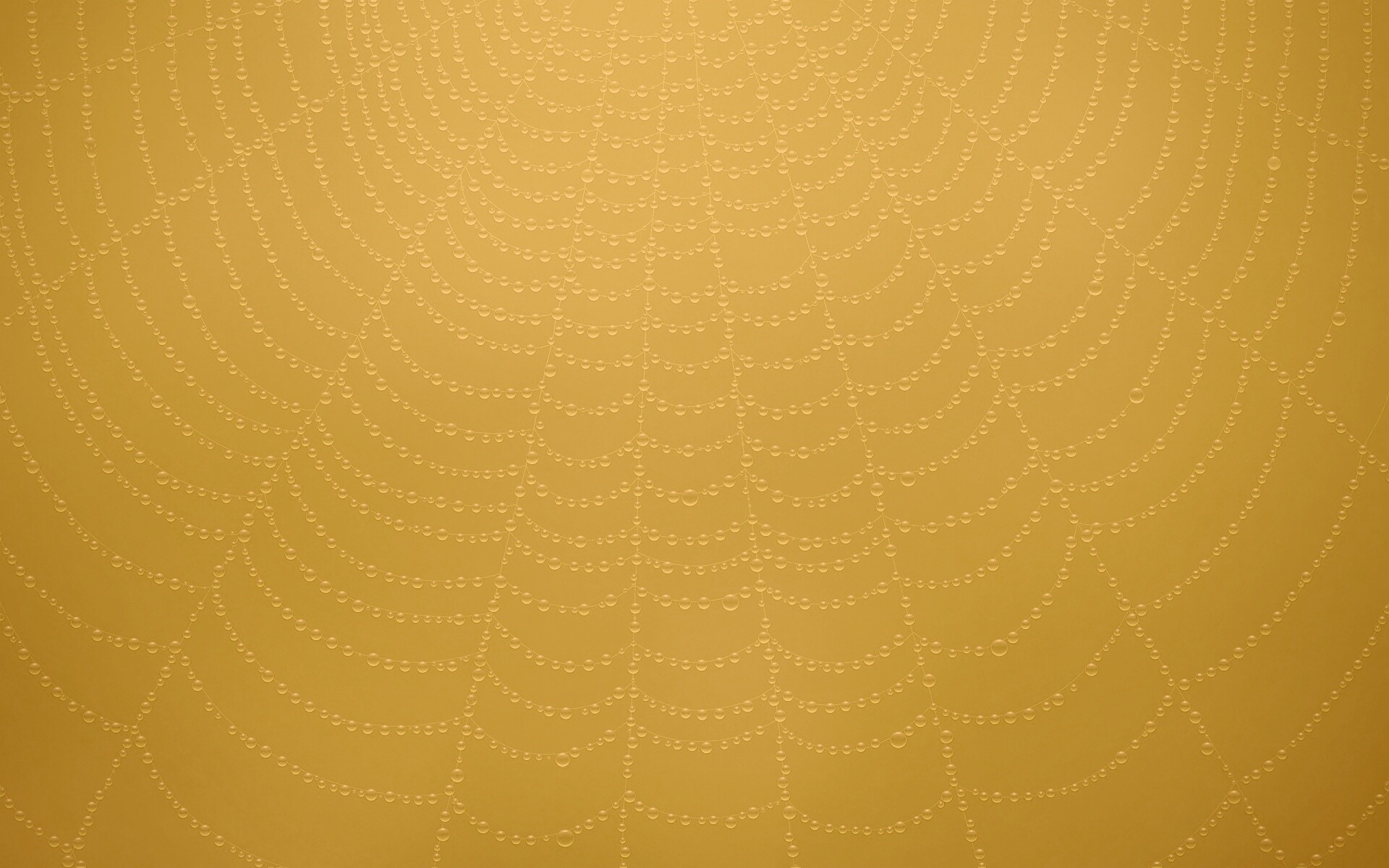 Роса на паутине обои