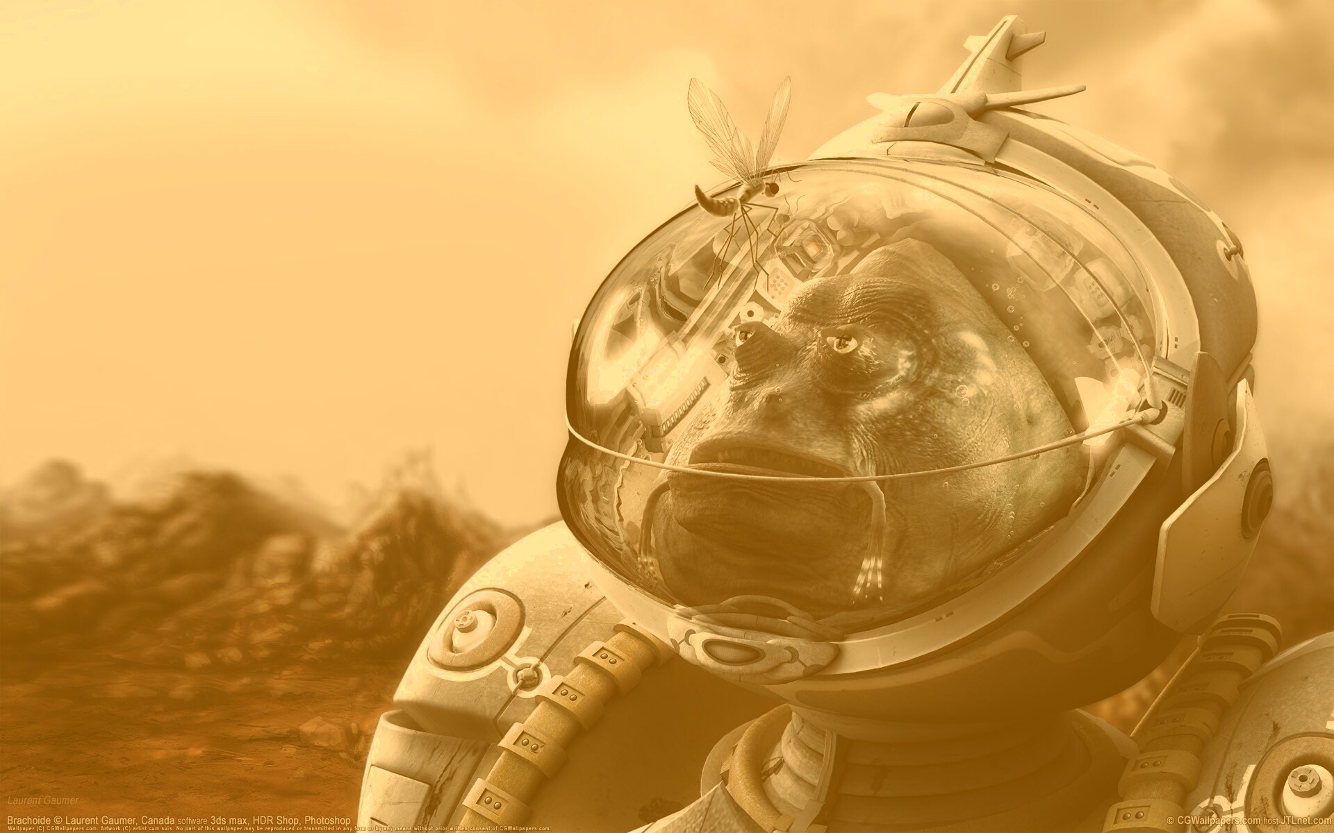 Инопланетянин и стрекоза обои