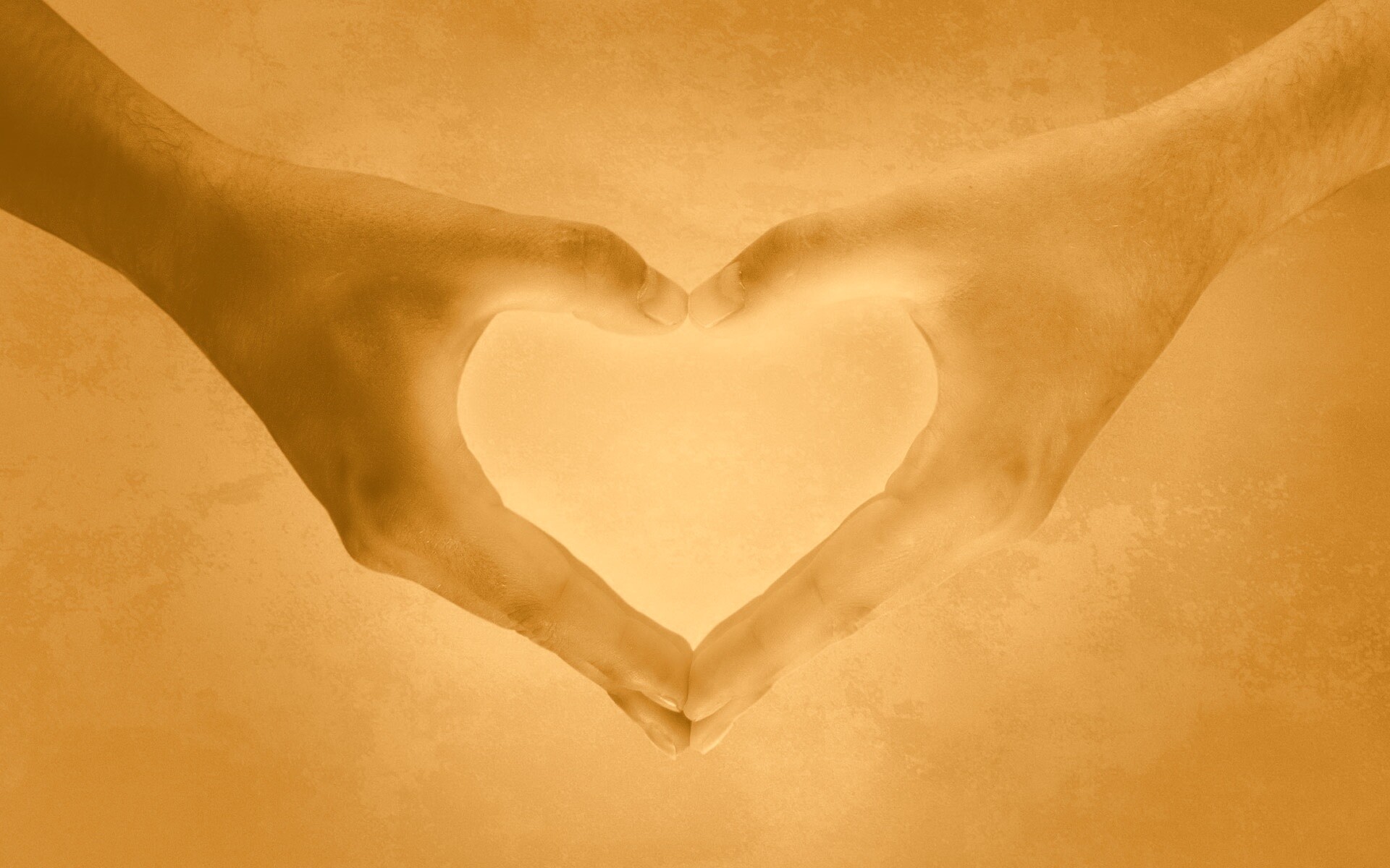 Сердце из сложенных рук обои