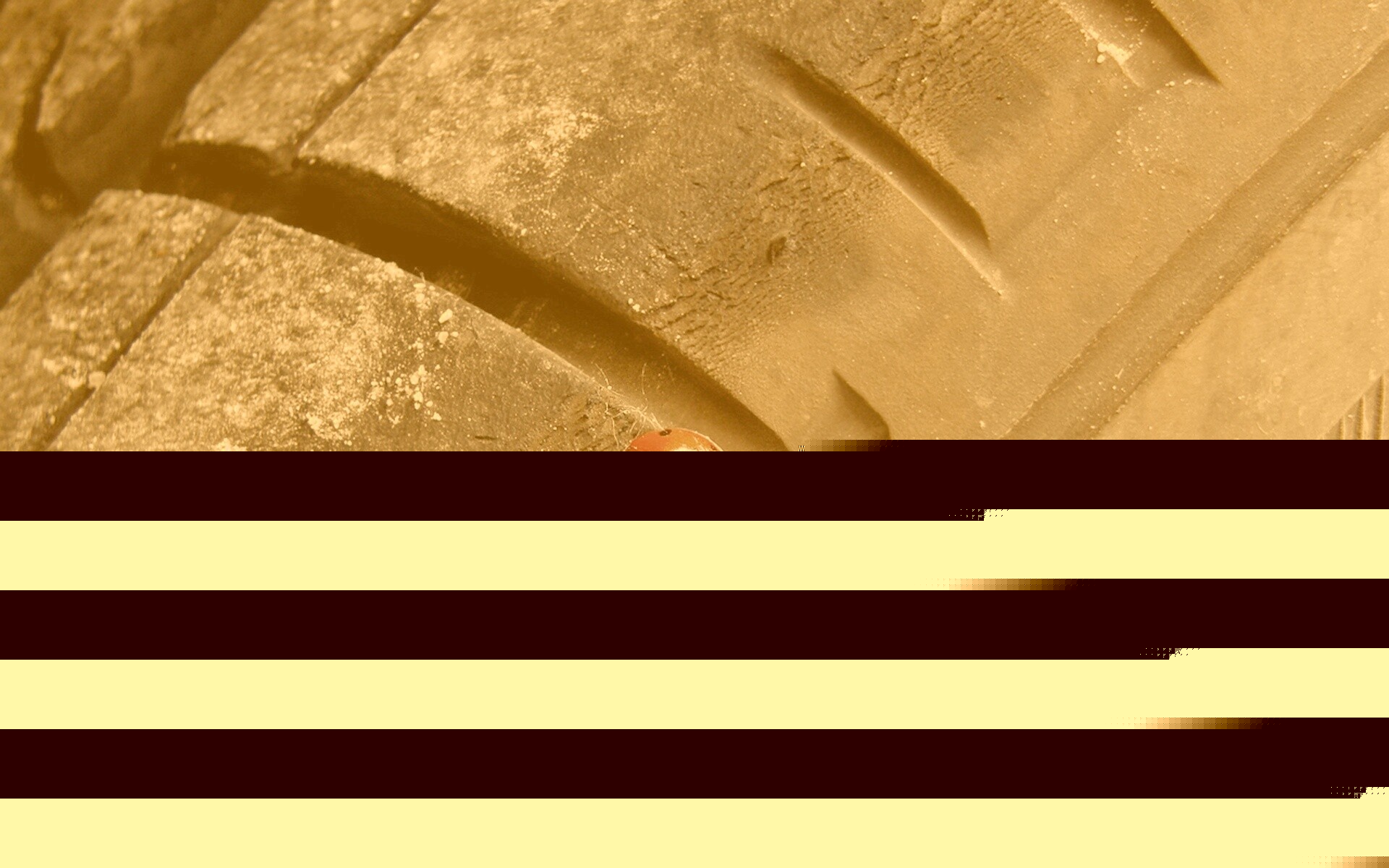 Божья коровка на автомобильной покрышке обои