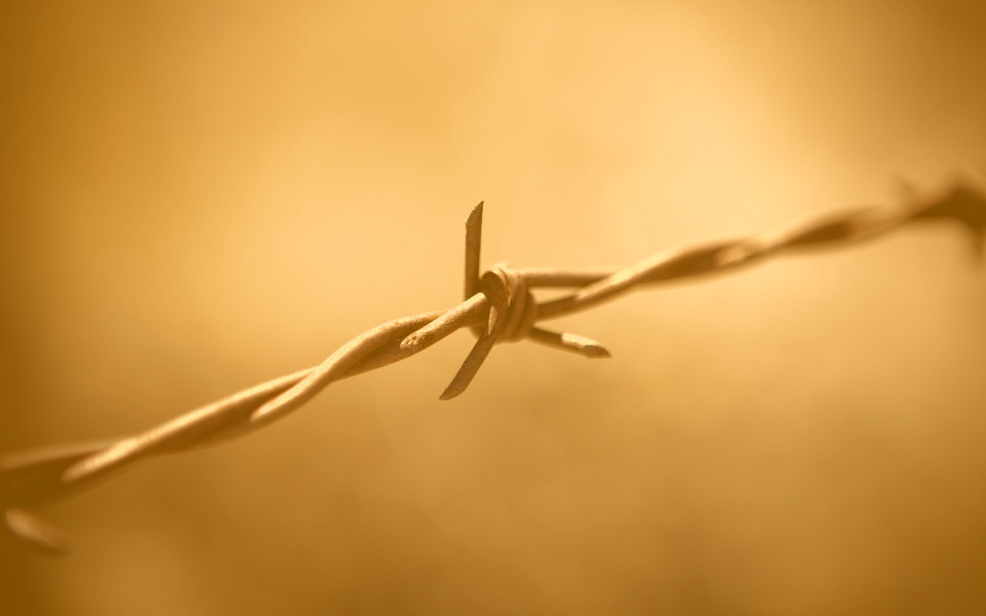 Фото колючей проволоки обои