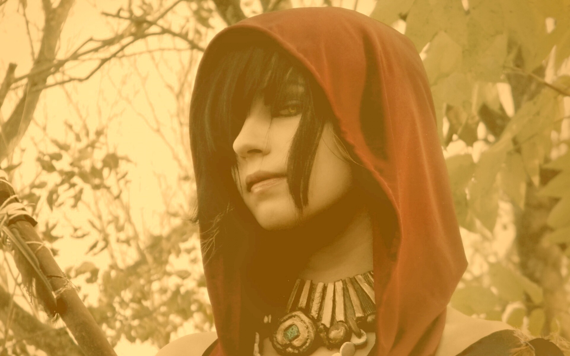 Косплей Морриган обои