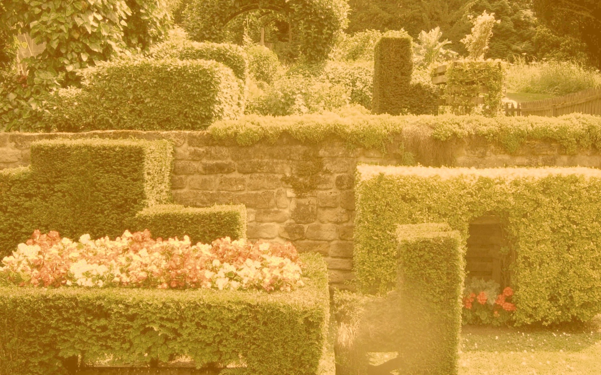 Декоративный сад обои