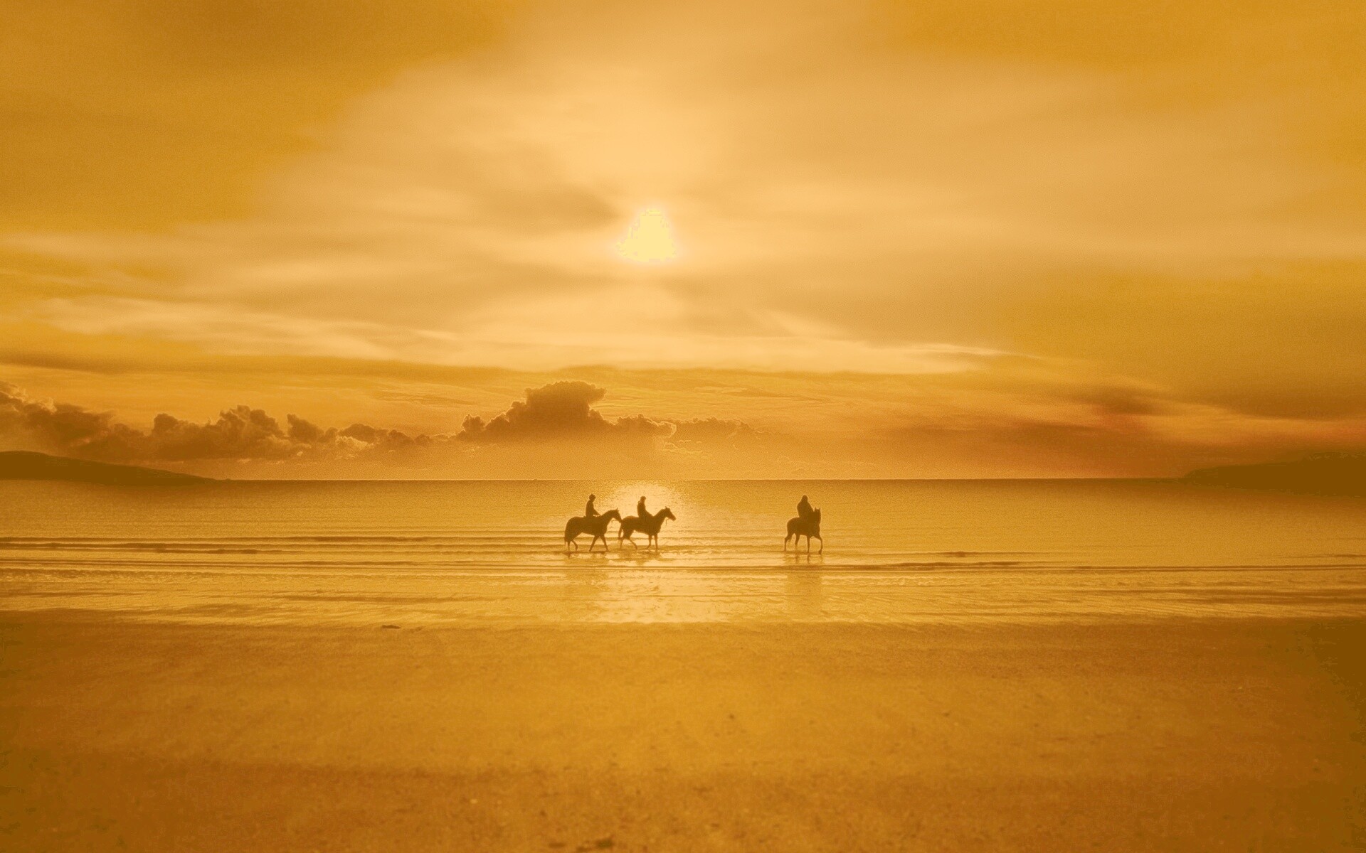 Наездники на закате обои