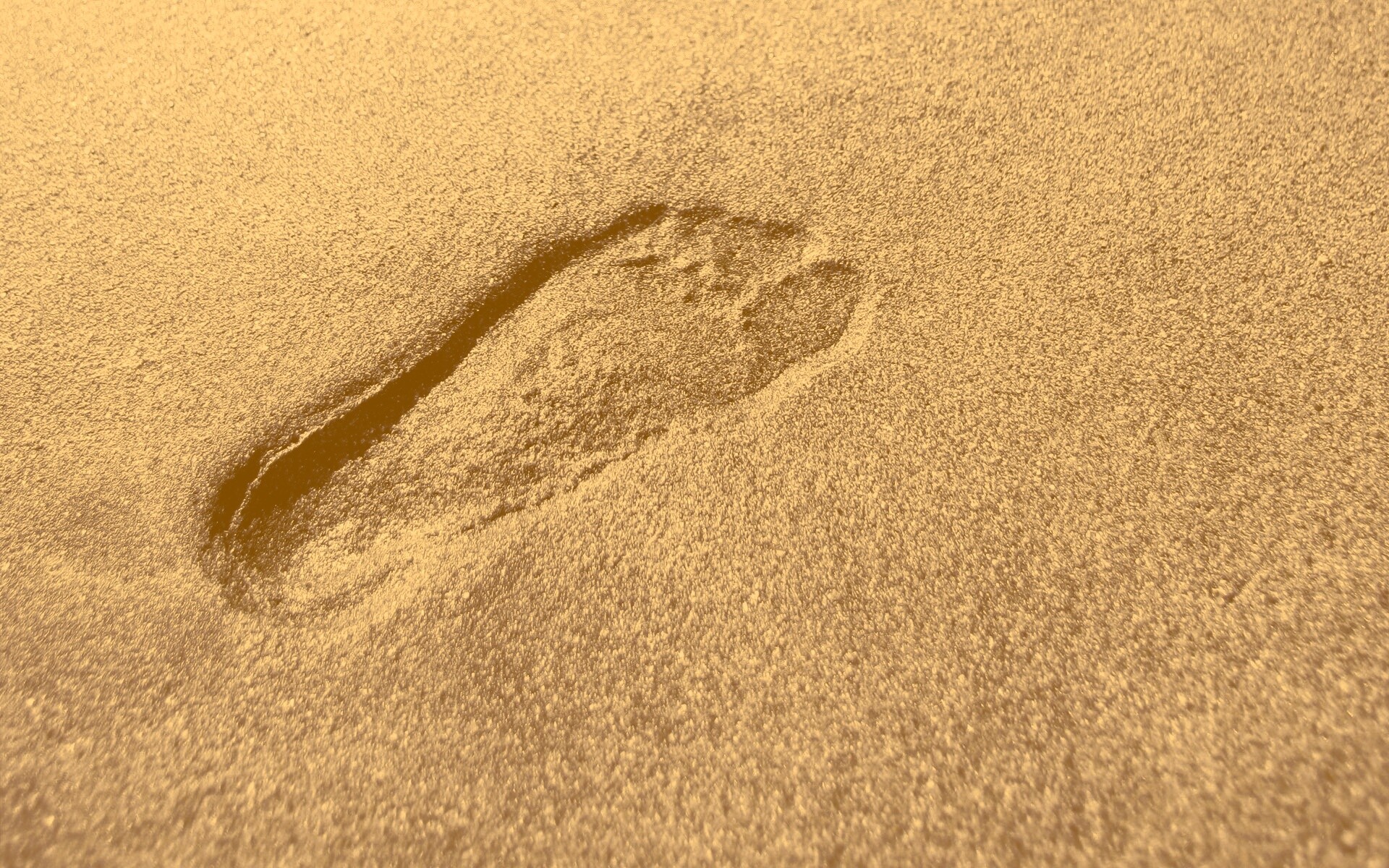 Отпечаток ноги обои