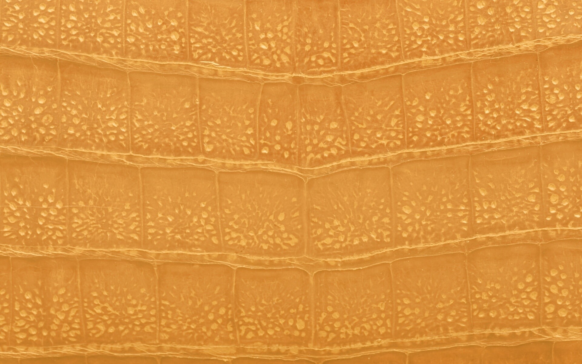 Текстура крокодильей кожи обои