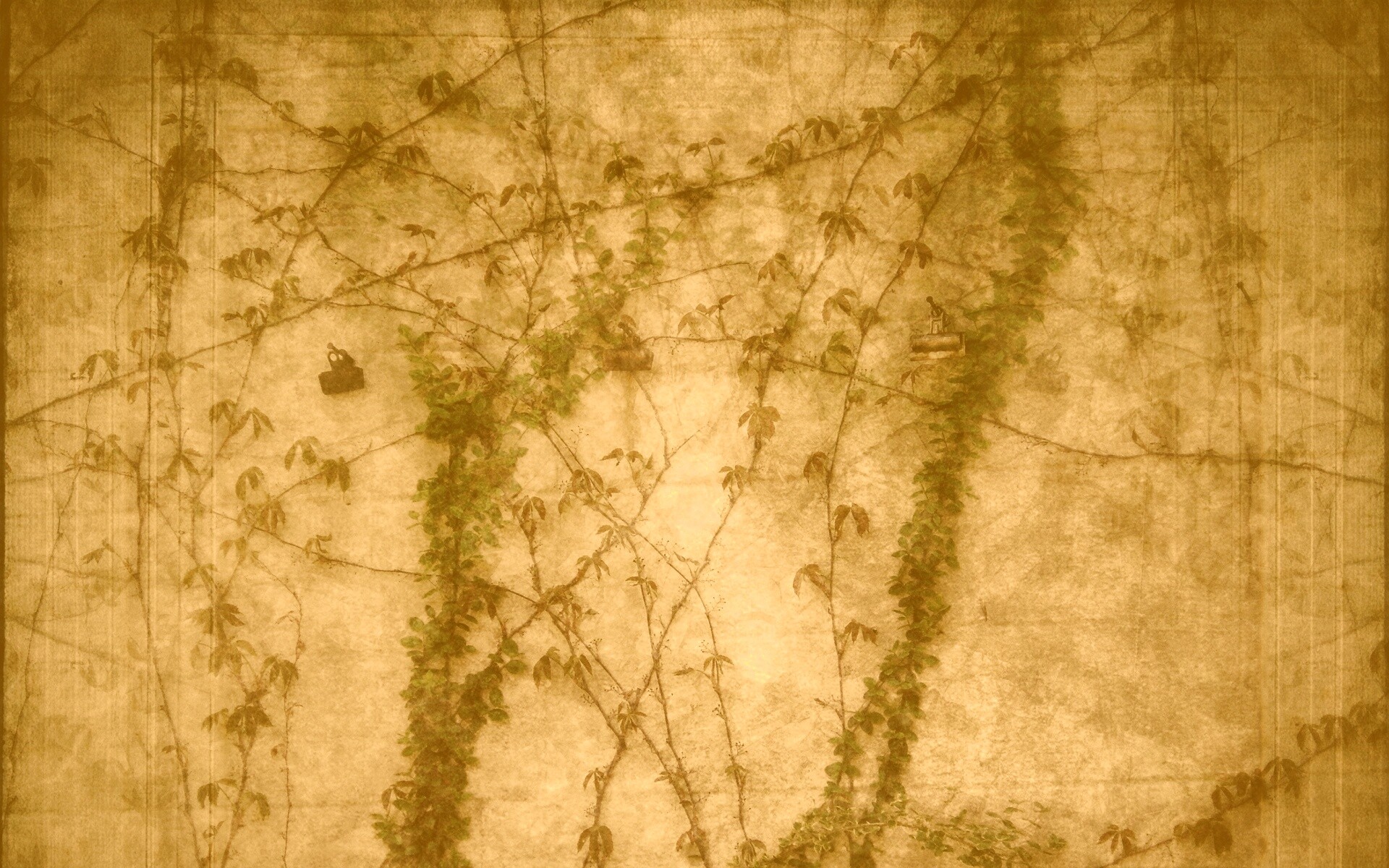 Растение на стене обои