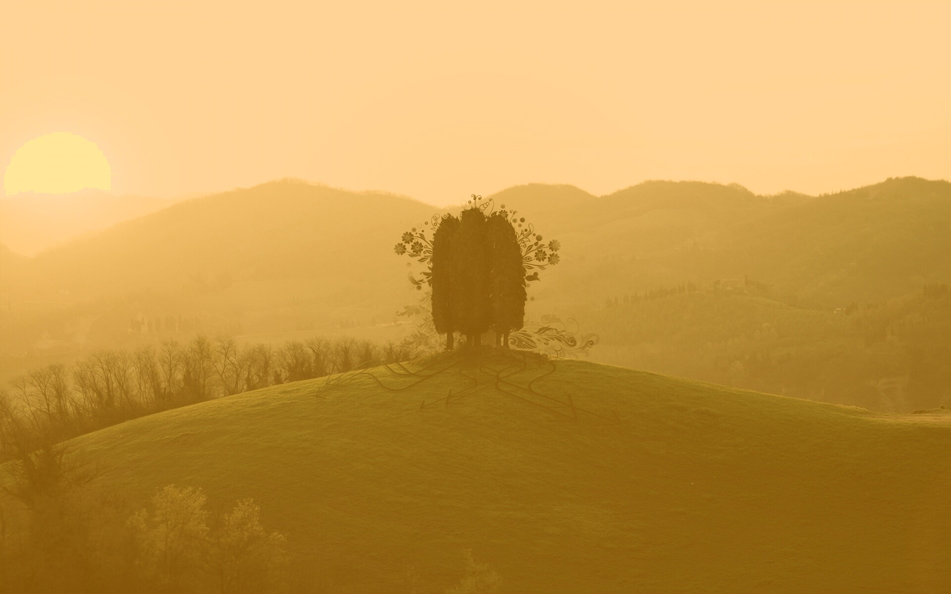 Деревья на холме обои