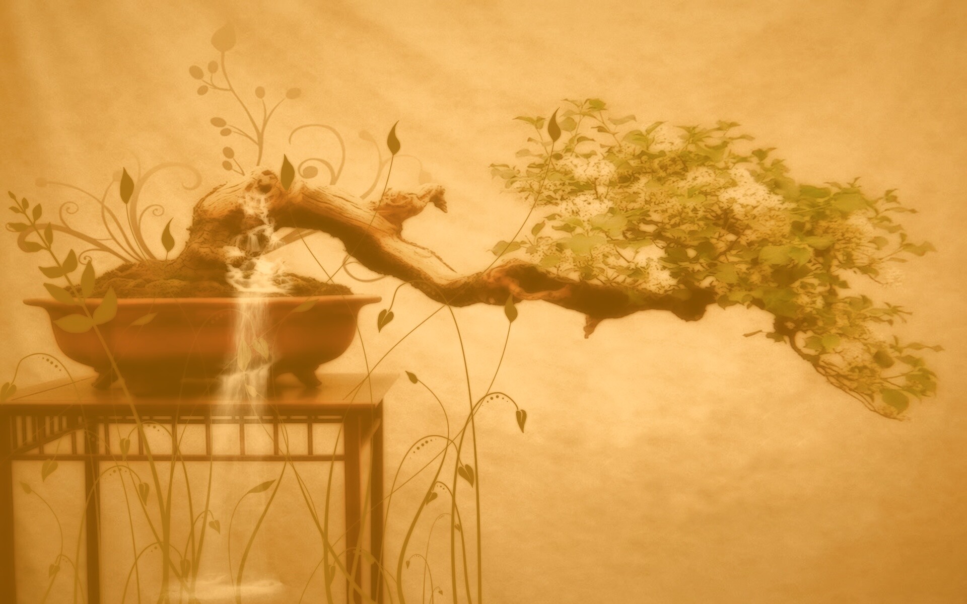 Карликовое дерево обои