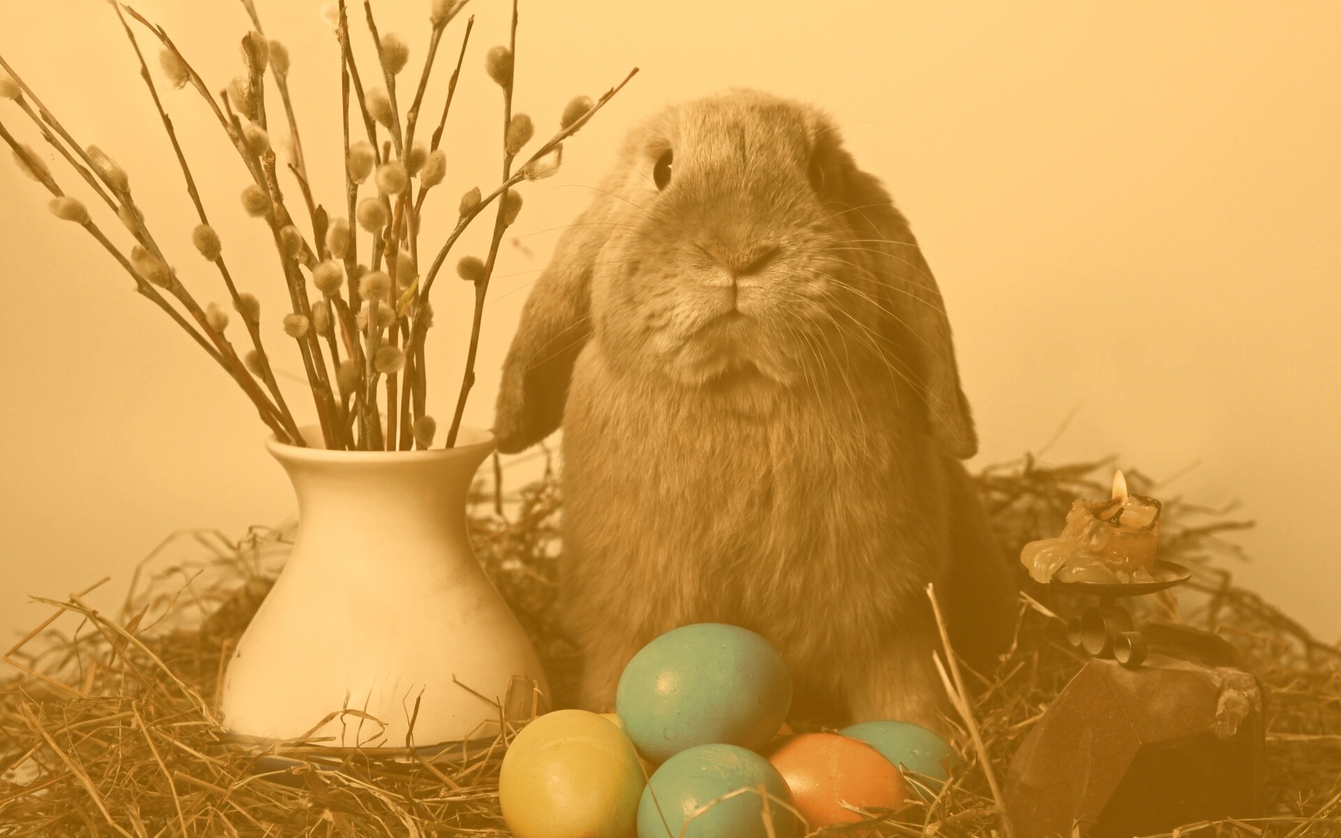 Пасхальный кролик обои