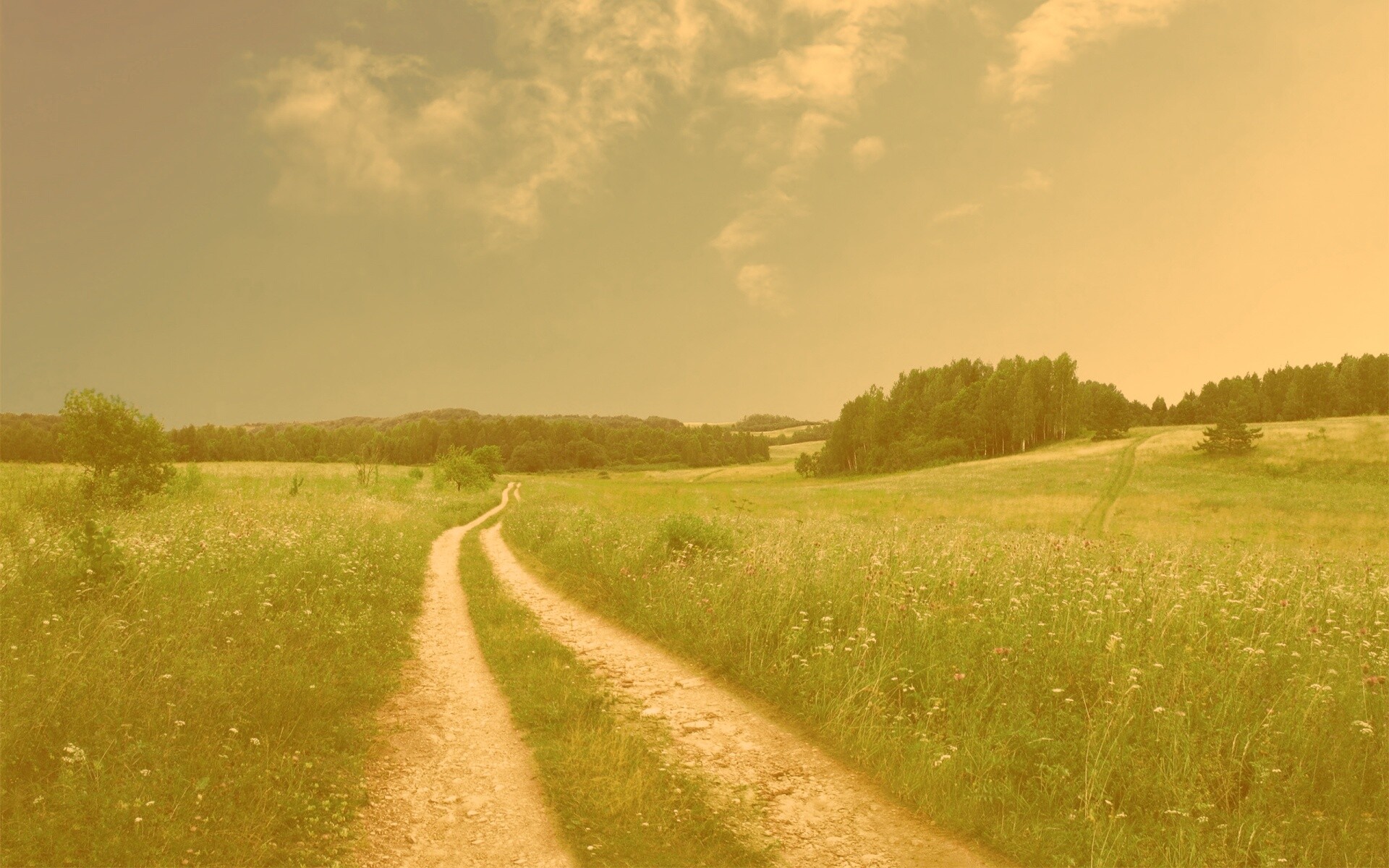 Дорога через луг обои