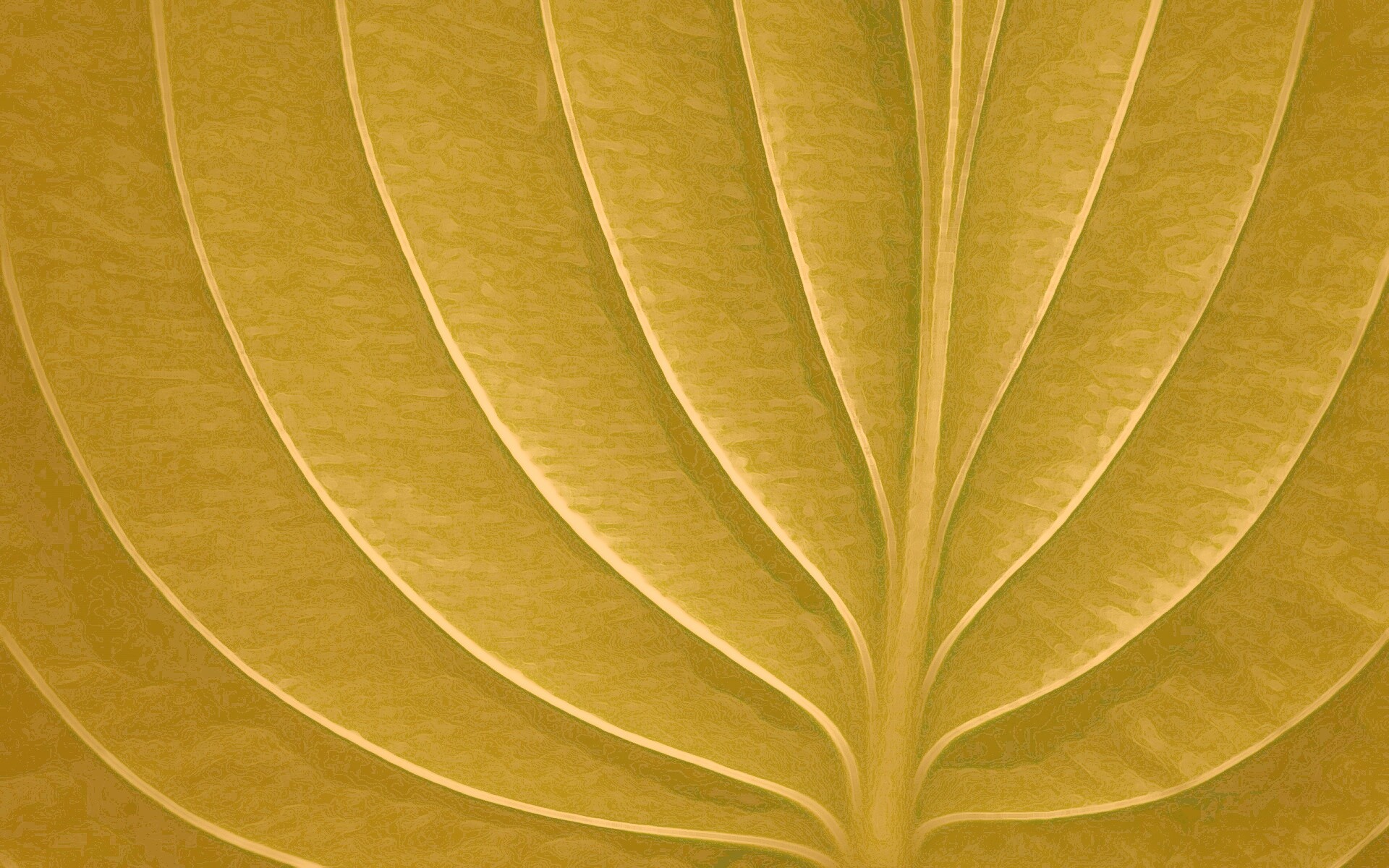 Неоновый лист обои