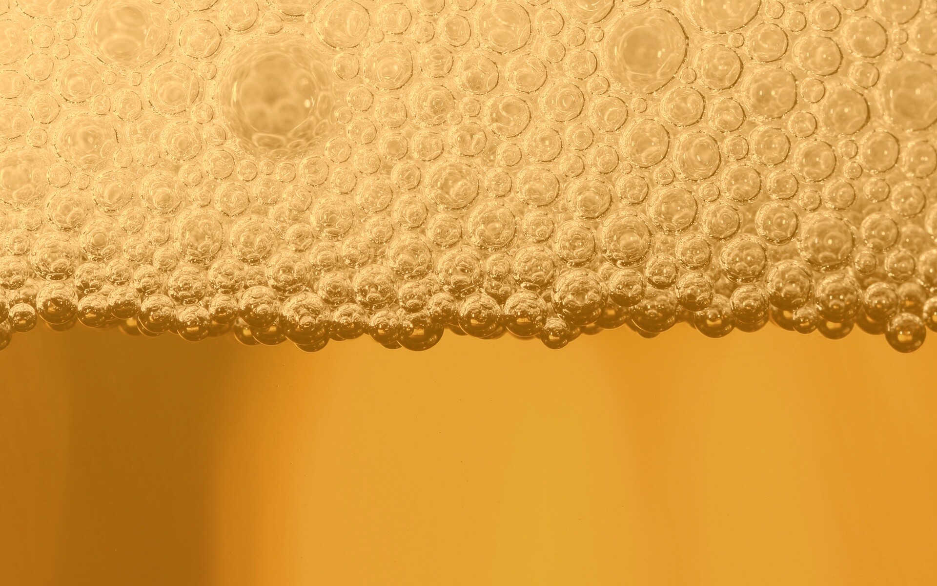 Пенное пиво в макро обои