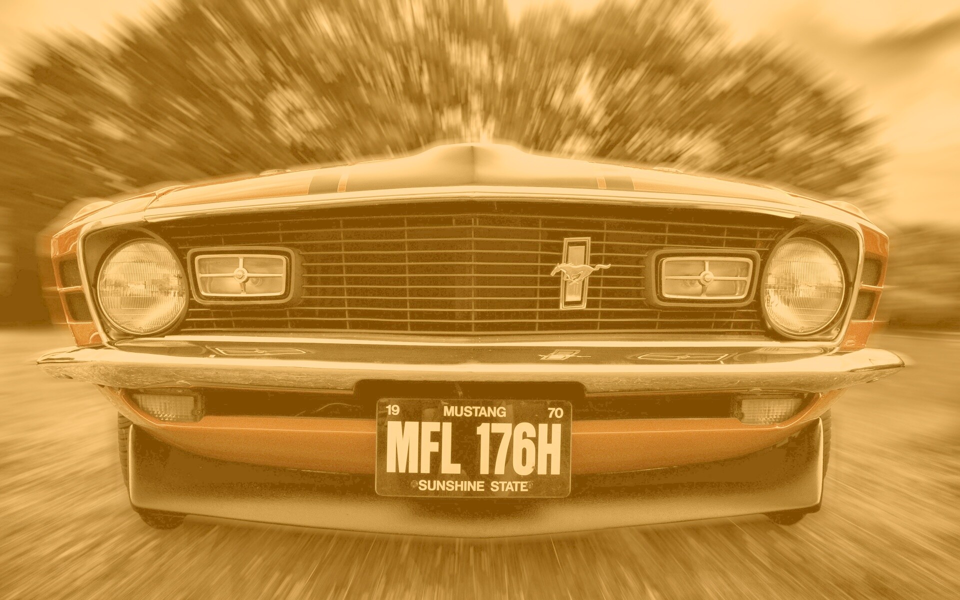 Мустанг обои