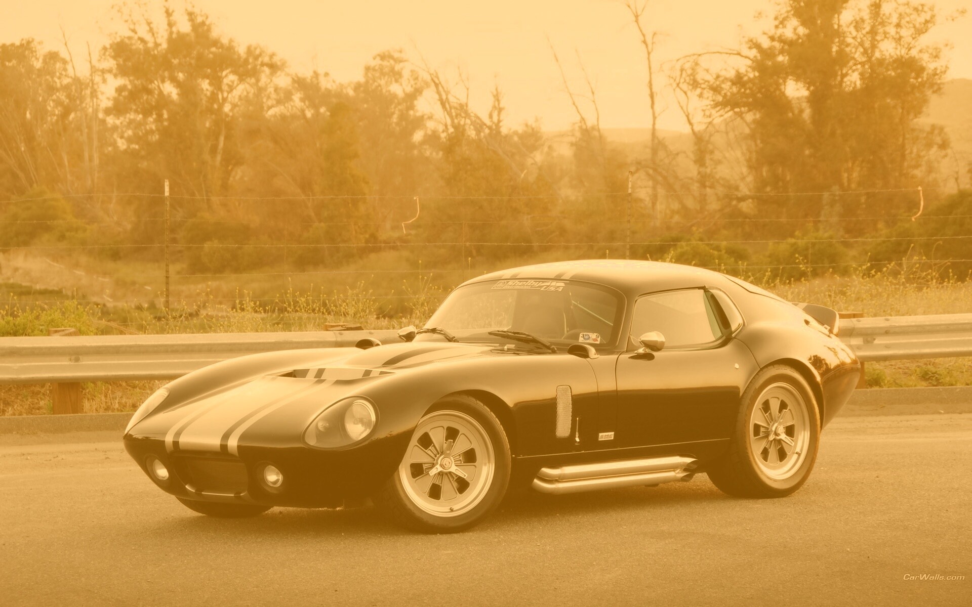 Shelby Daytona обои