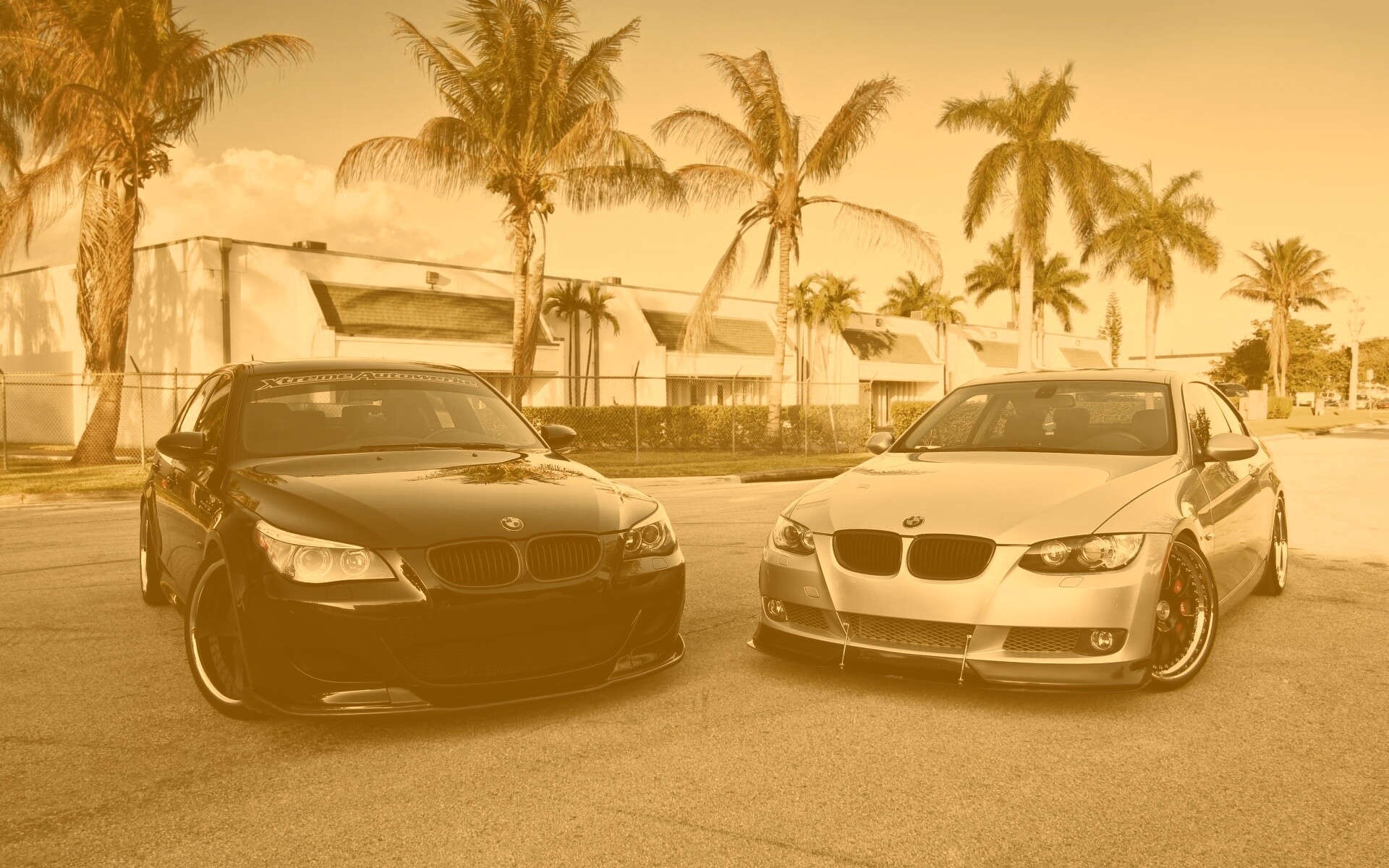 Две БМВ обои
