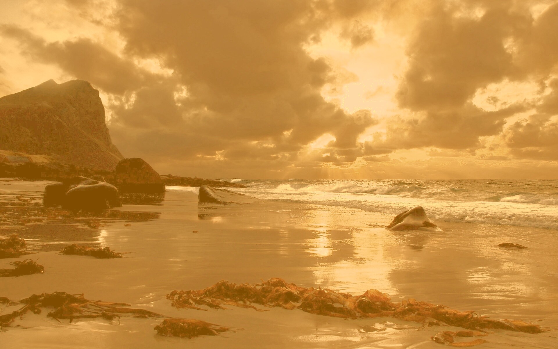 Океанский берег на закате обои