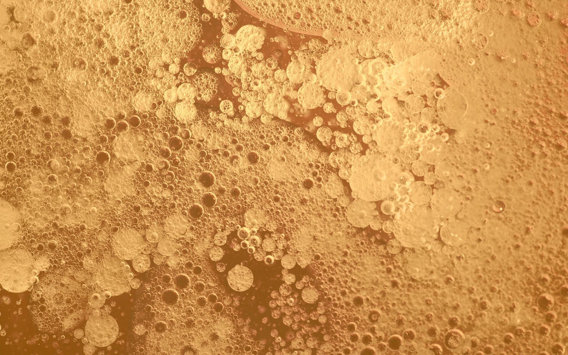 Реакция Вассермана в фиолетовых тонах обои