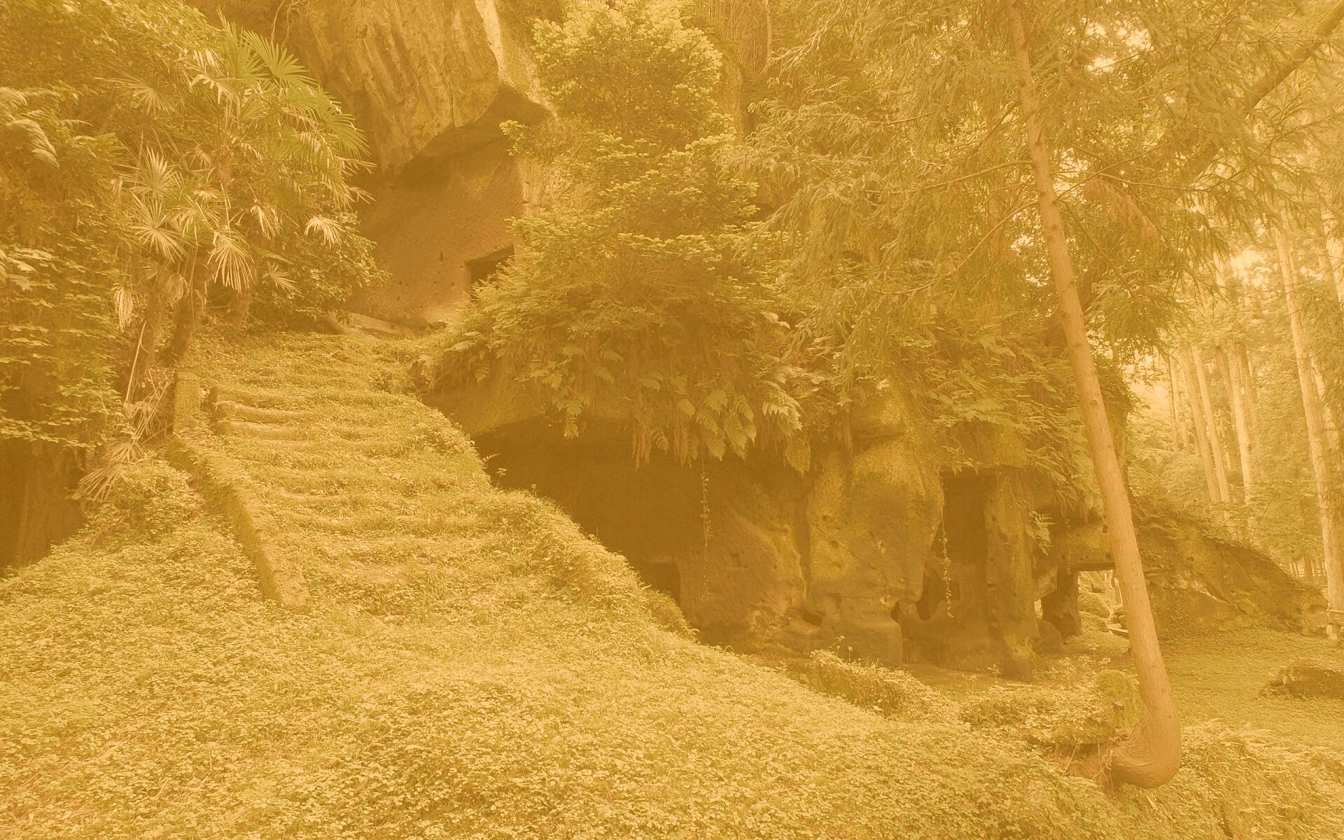 Старинный лесной храм обои