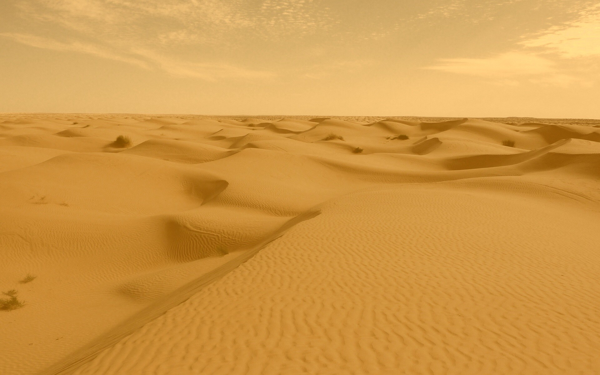 Пустыня до самого горизонта обои