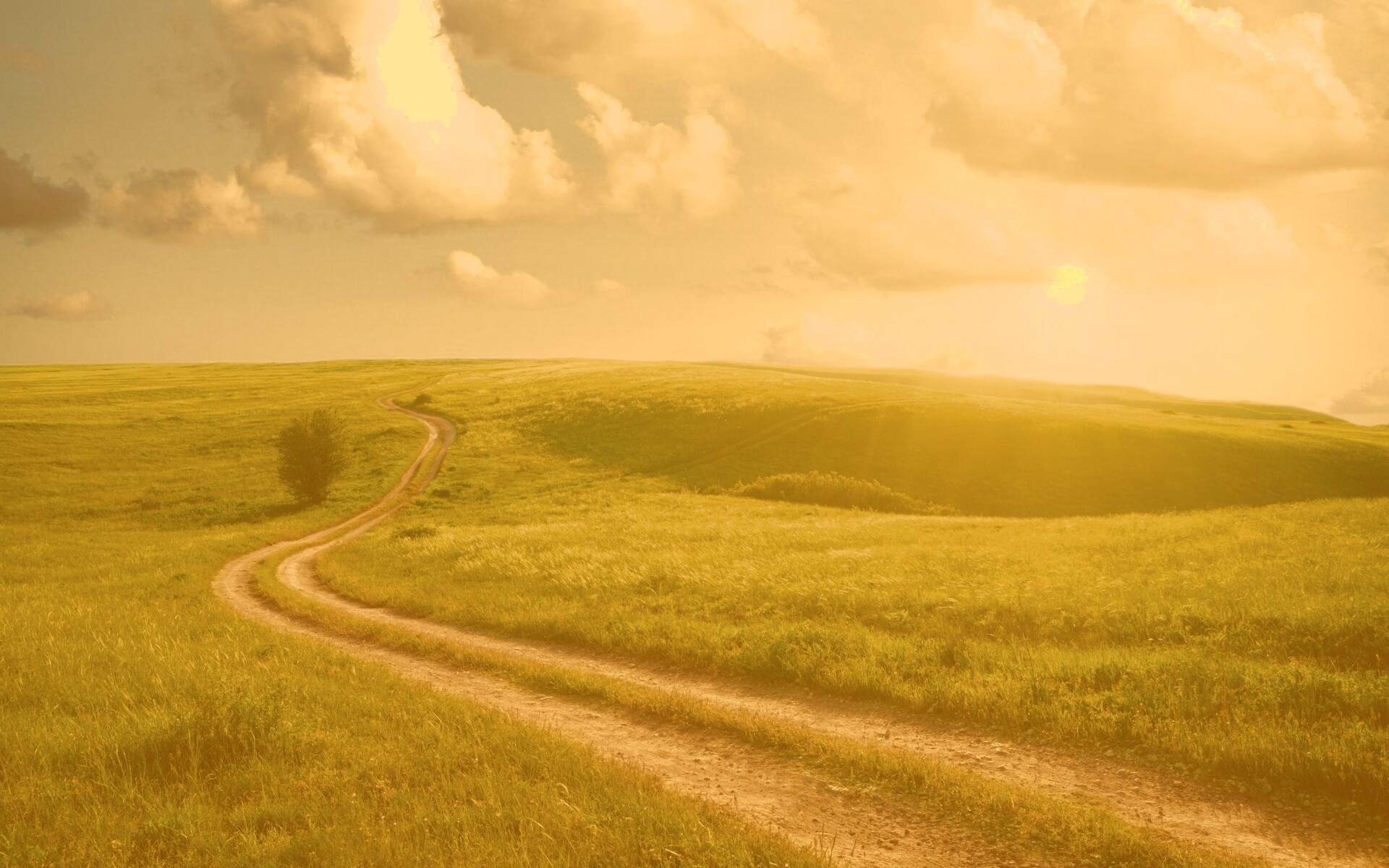 Дорога через луг обои