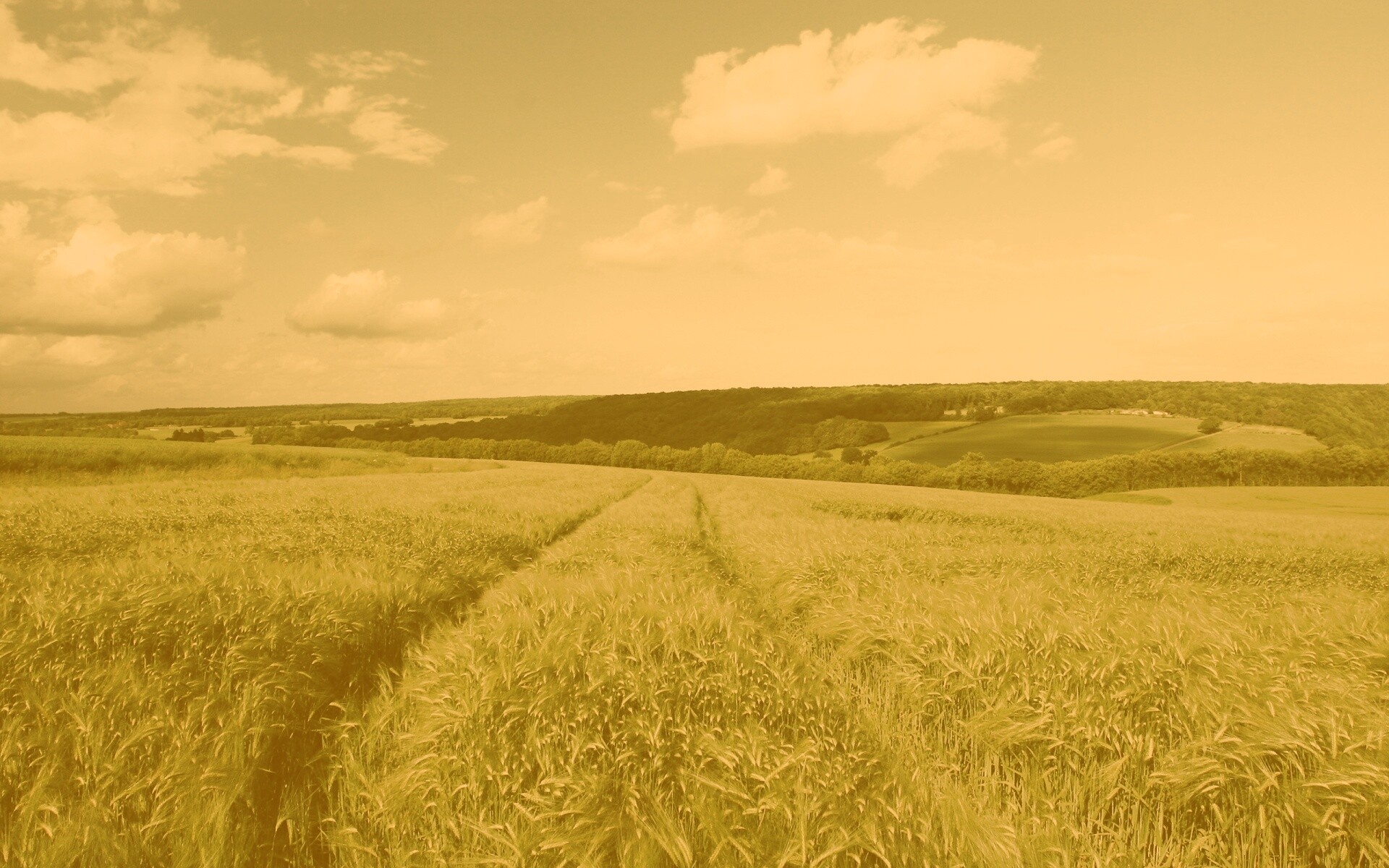 Бескрайние просторы обои