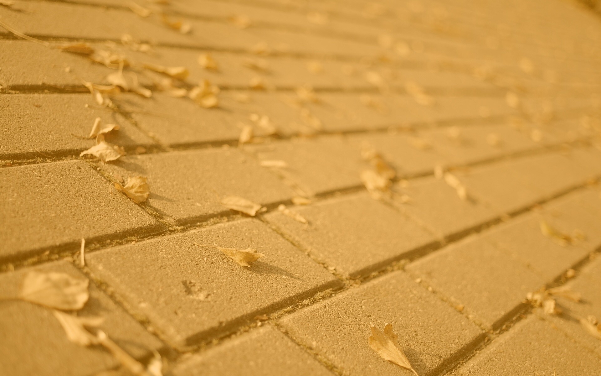 Тротуар обои