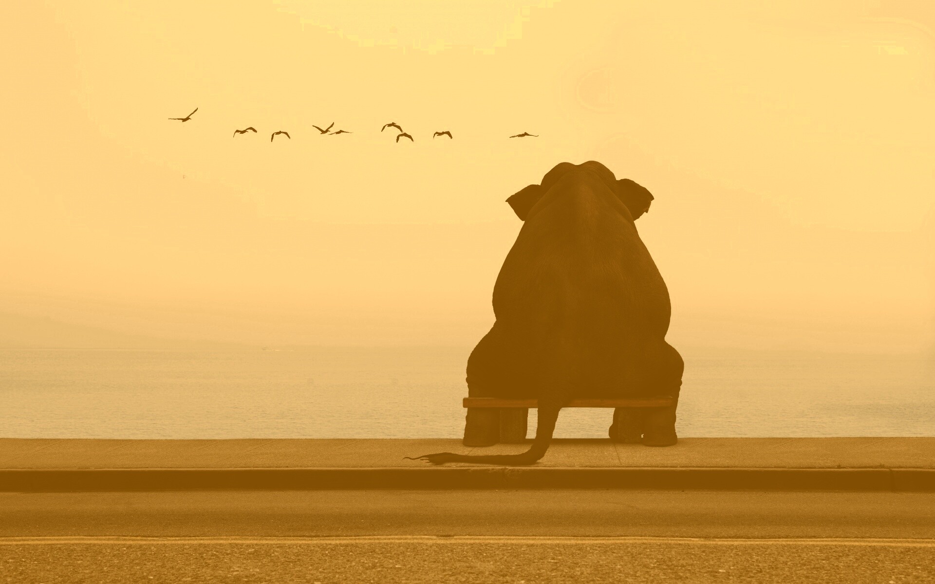 Слон на табуретке обои