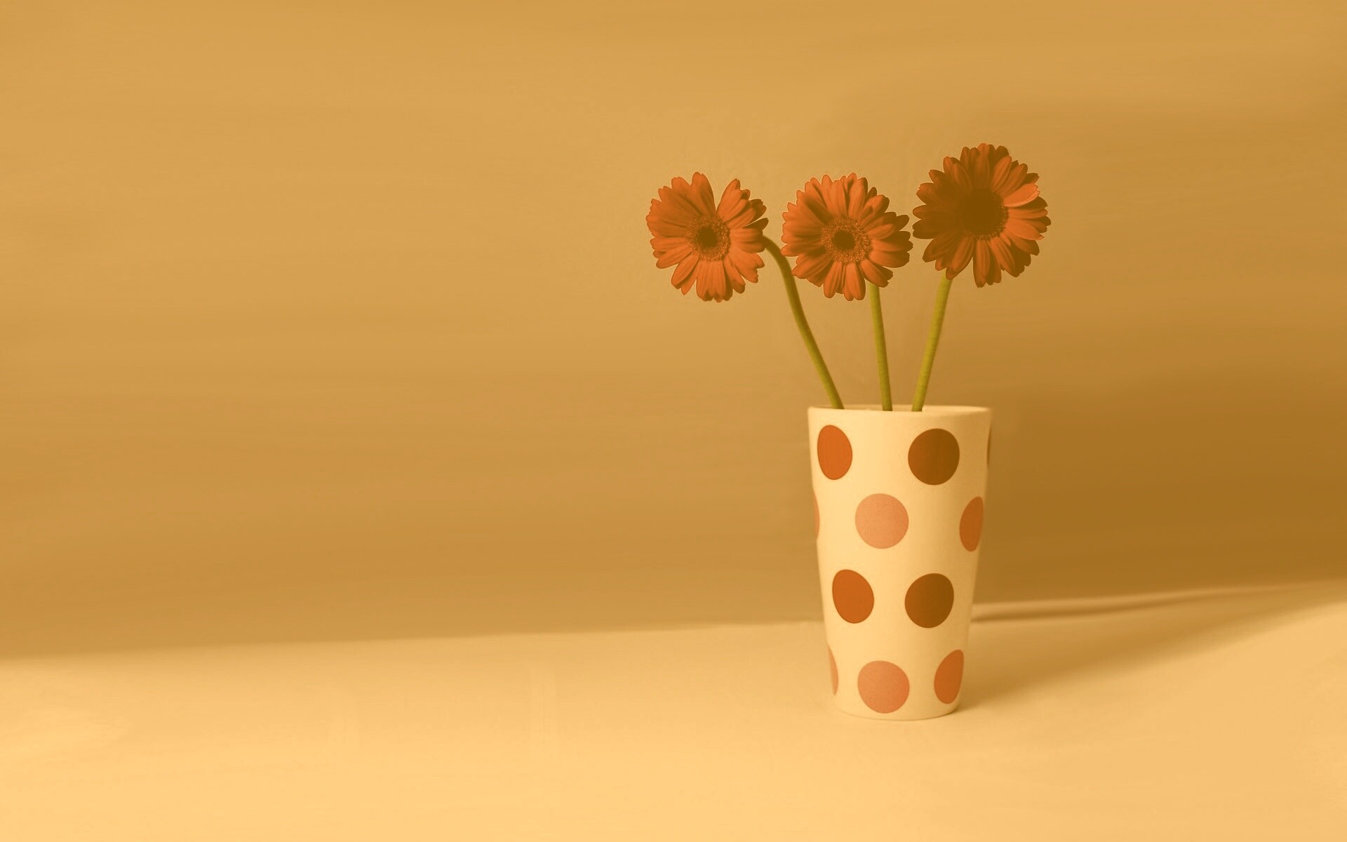 Вазочка с тремя красными герберами обои