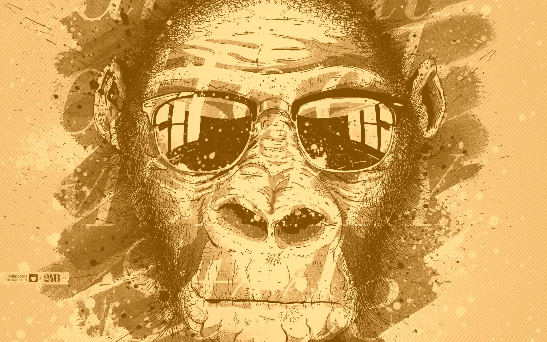 Макака в очках обои