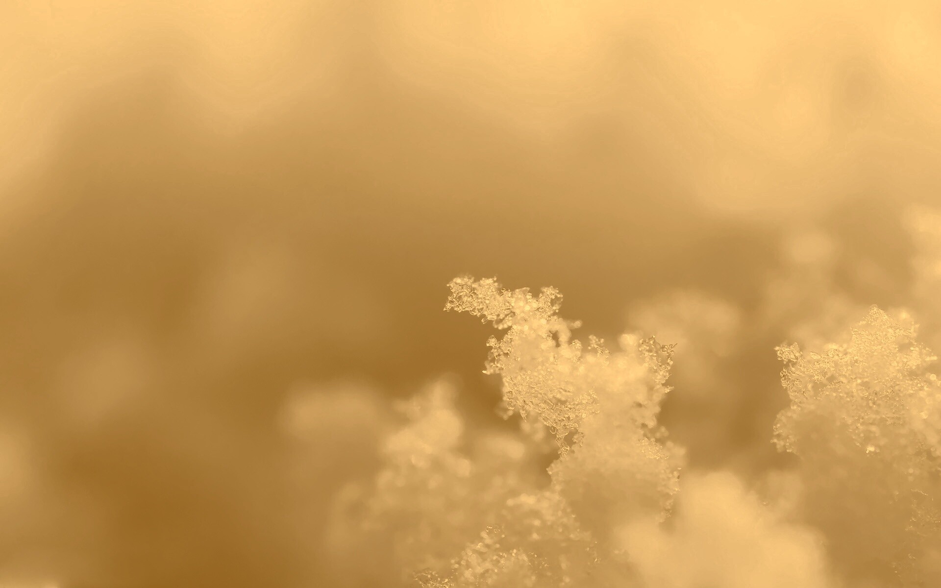 Макро фото снега обои