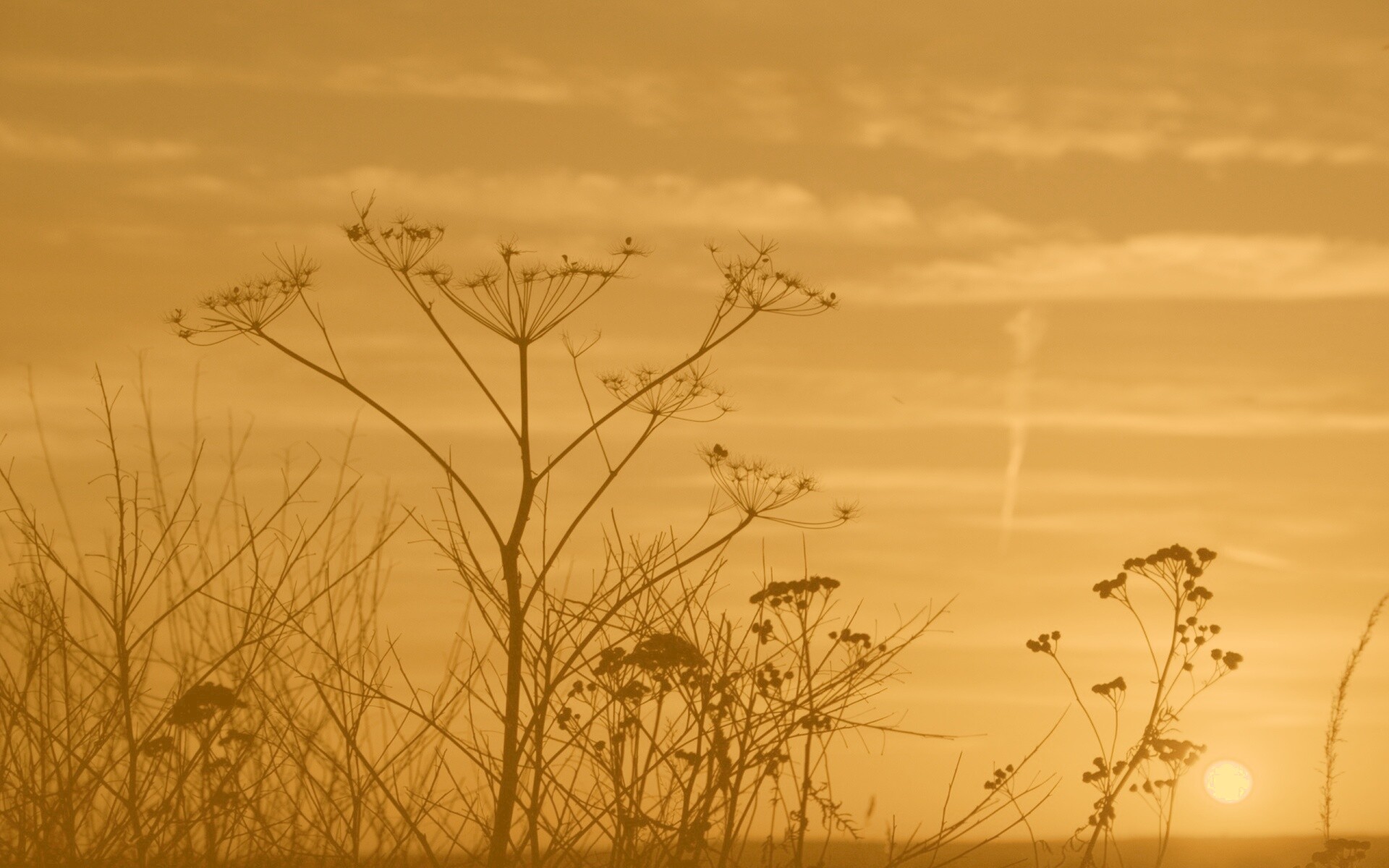 Степной закат обои